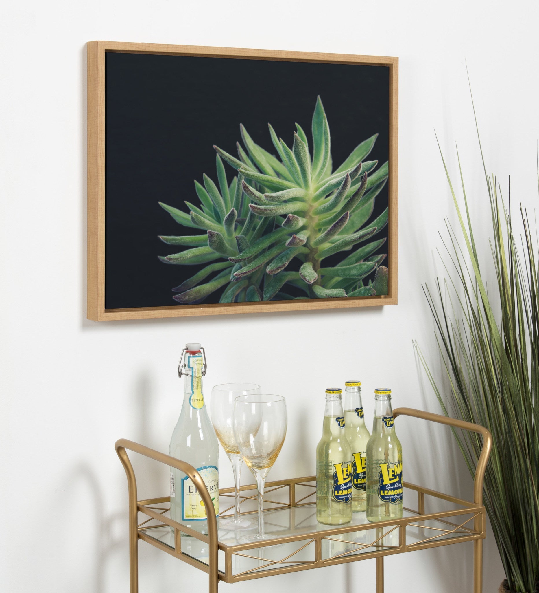 Sylvie Succulent 13 Framed Canvas by kateandlaurel - product image 5 for Resin Society