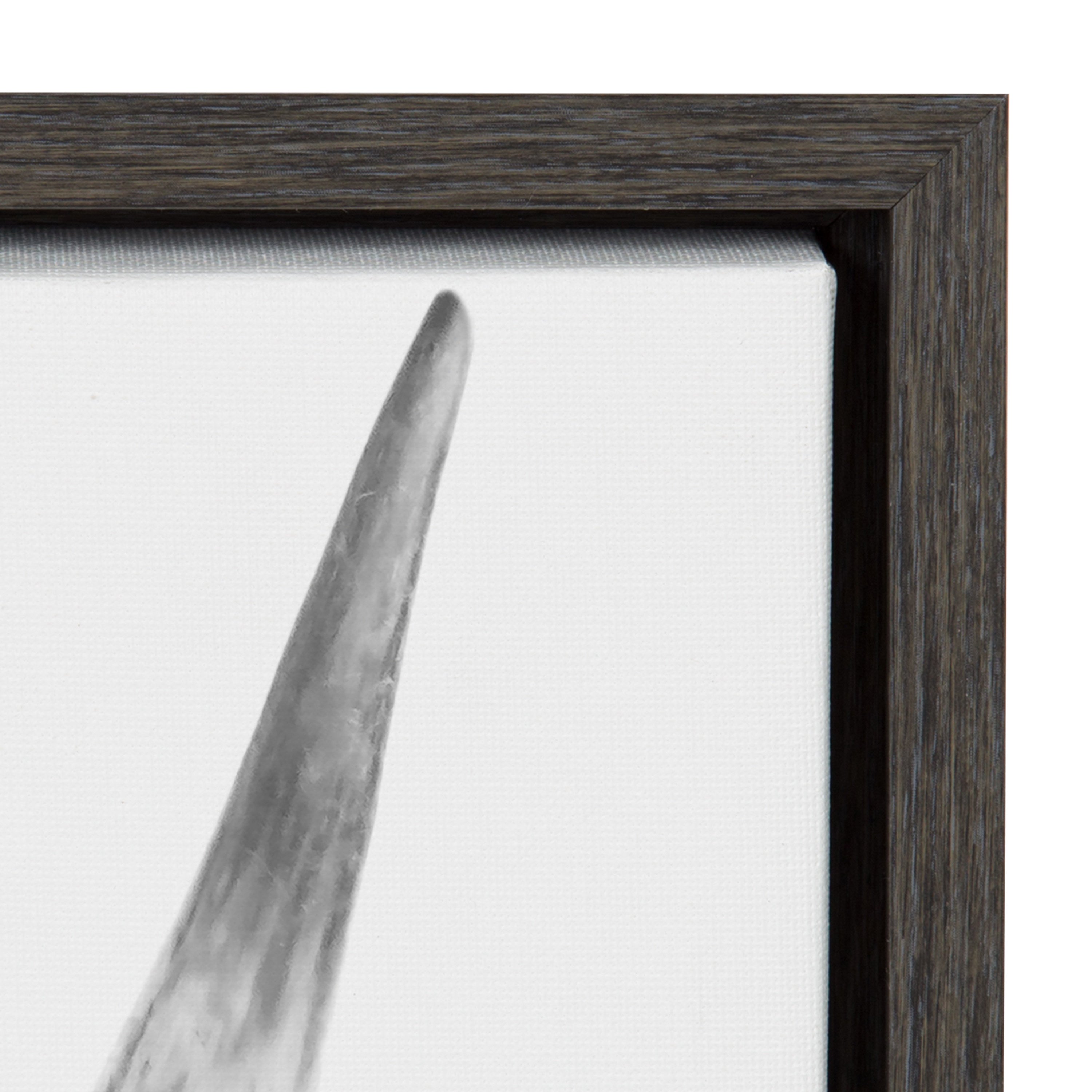 Sylvie Highland Cow Portrait Framed Canvas by Amy Peterson Art Studio by kateandlaurel - product image 3 for Resin Society