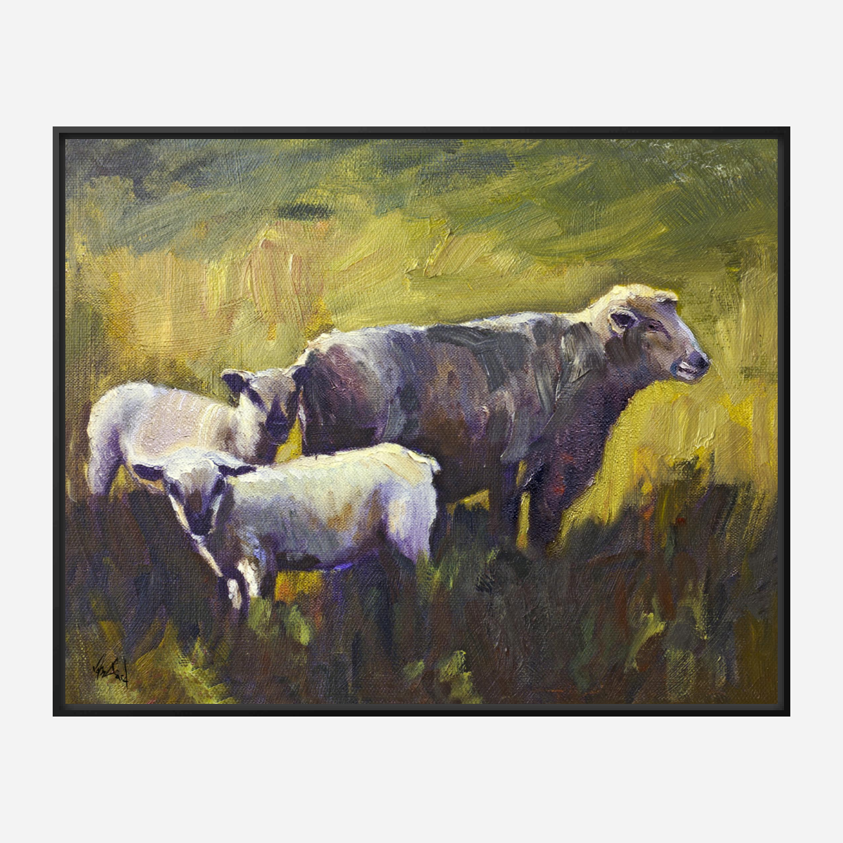 Three Sheep Artist Enhanced Canvas Print by John Beard Collection - product image 5 for Resin Society