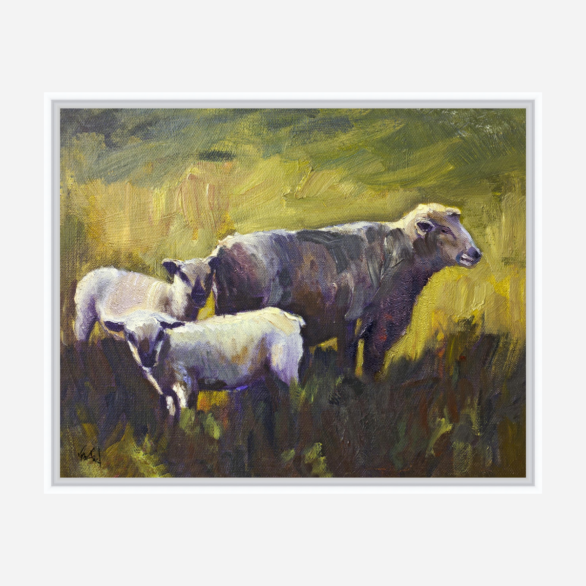 Three Sheep Artist Enhanced Canvas Print by John Beard Collection - product image 6 for Resin Society