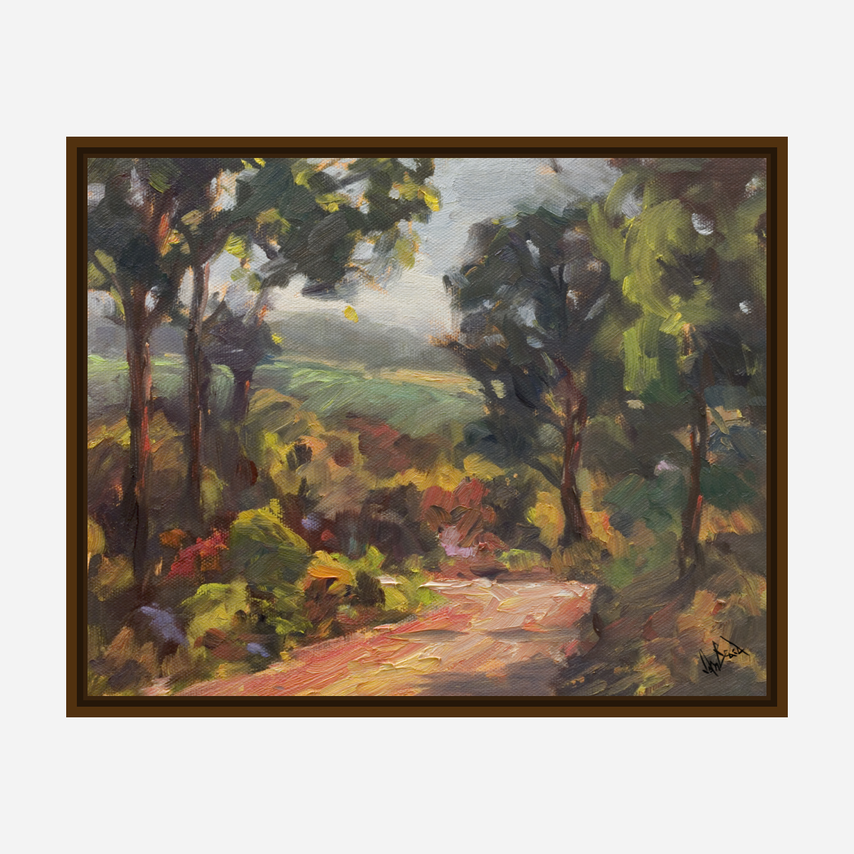 Tuscan Path Artist Enhanced Canvas Print by John Beard Collection - product image 7 for Resin Society