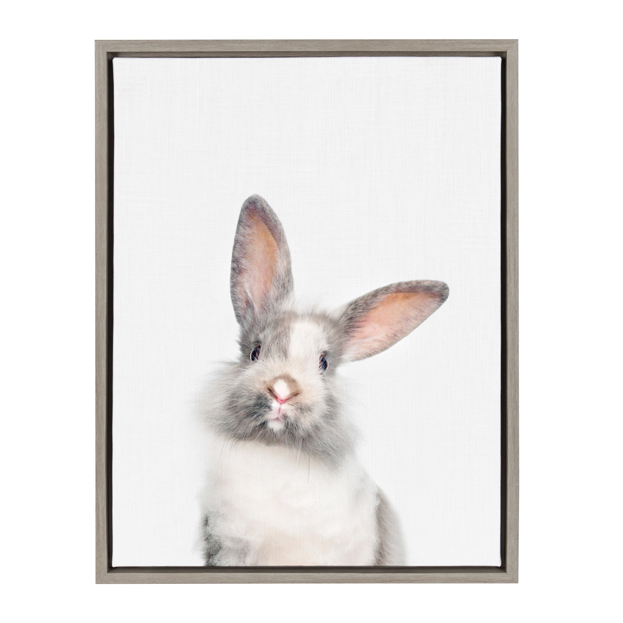 Sylvie Animal Studio Cute Male Rabbit Framed Canvas by kateandlaurel - main product image for Resin Society