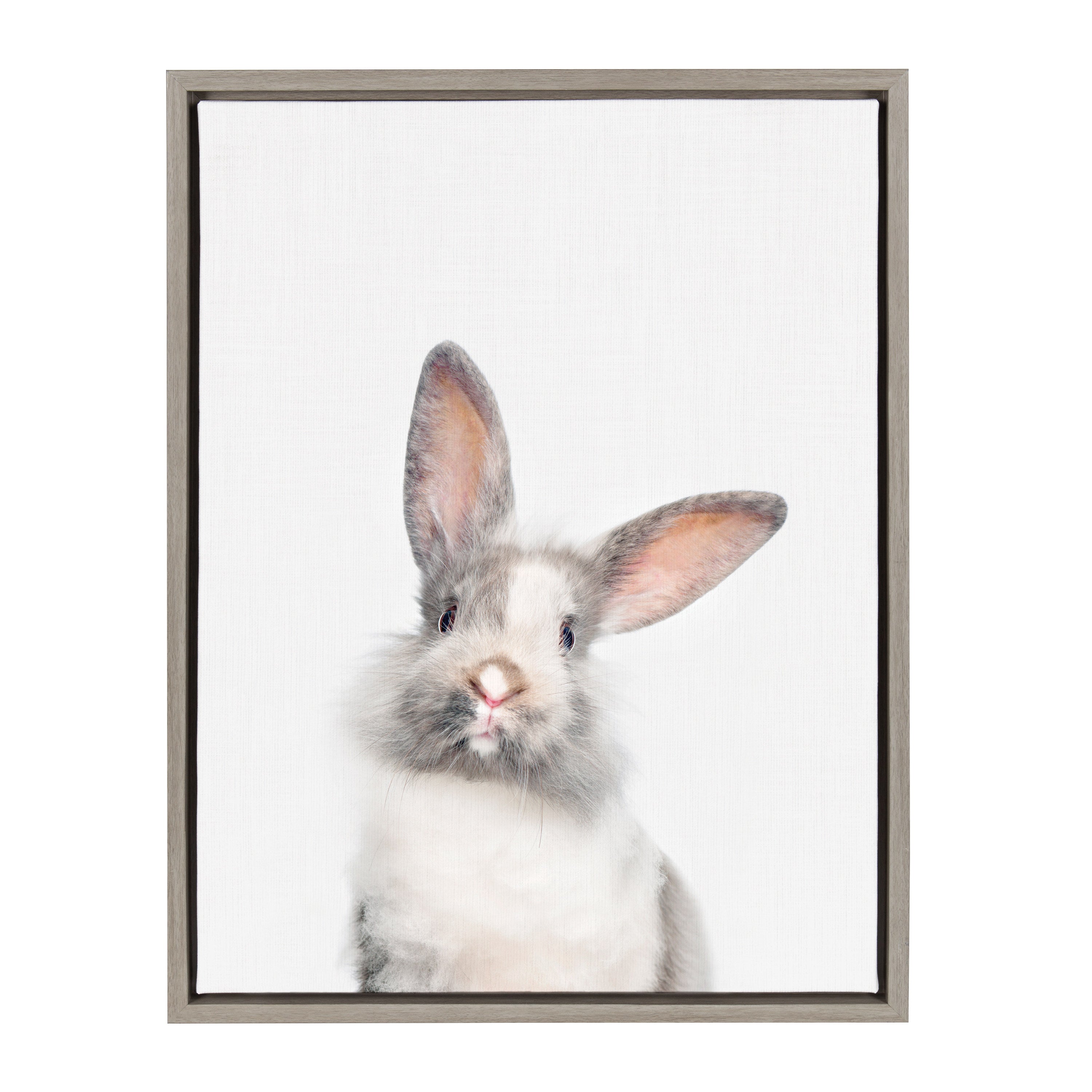 Sylvie Animal Studio Cute Male Rabbit Framed Canvas by kateandlaurel - product image 9 for Resin Society