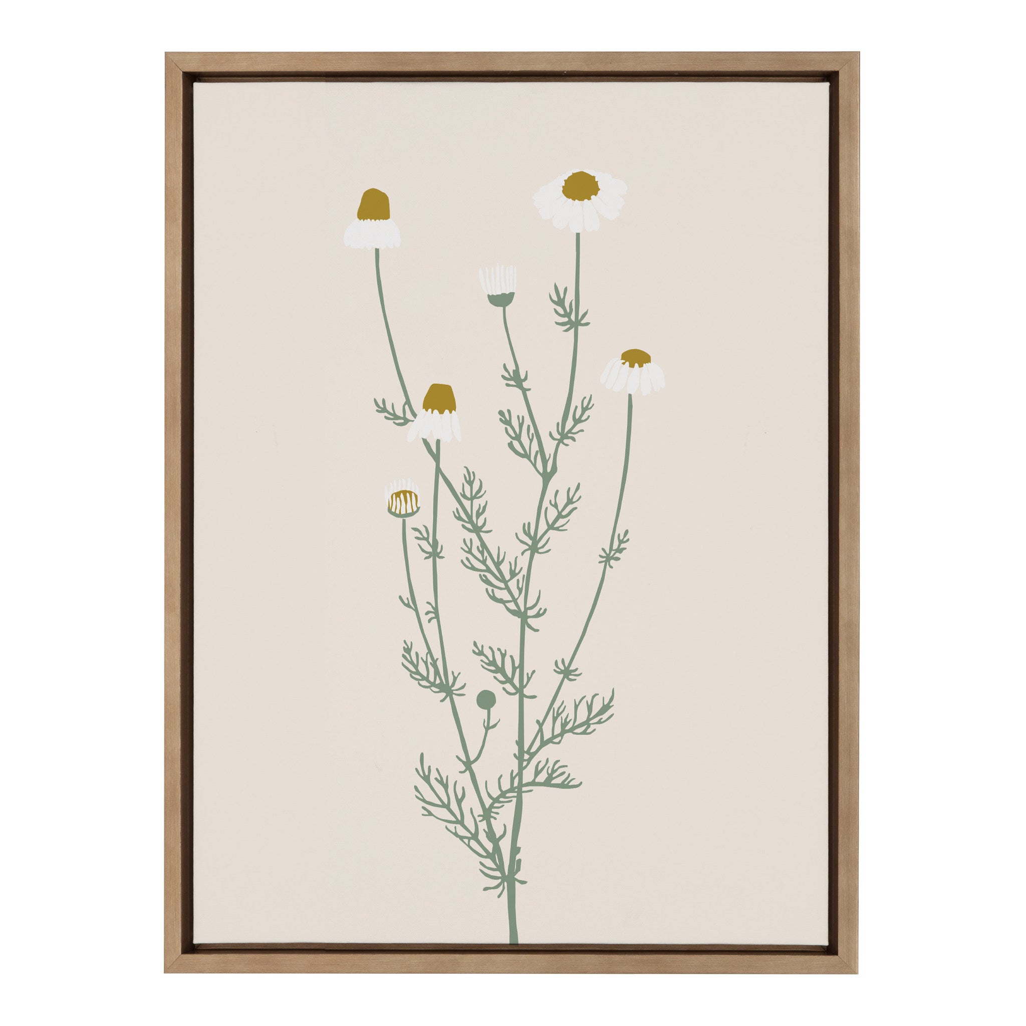 Sylvie Delicate Illustrated White Wildflowers Framed Canvas by kateandlaurel - product image 2 for Resin Society