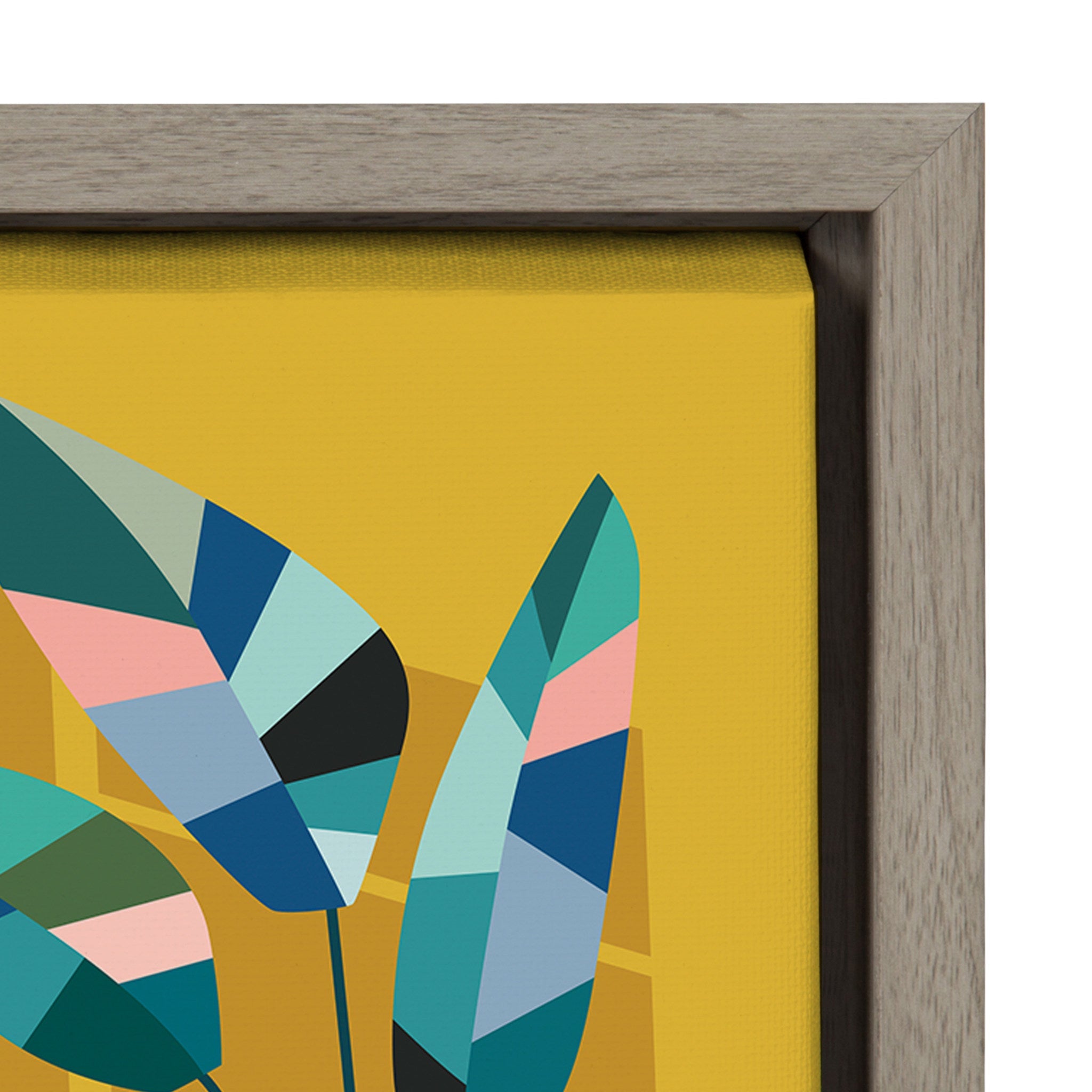 Sylvie Plant Lady Framed Canvas by kateandlaurel - product image 3 for Resin Society