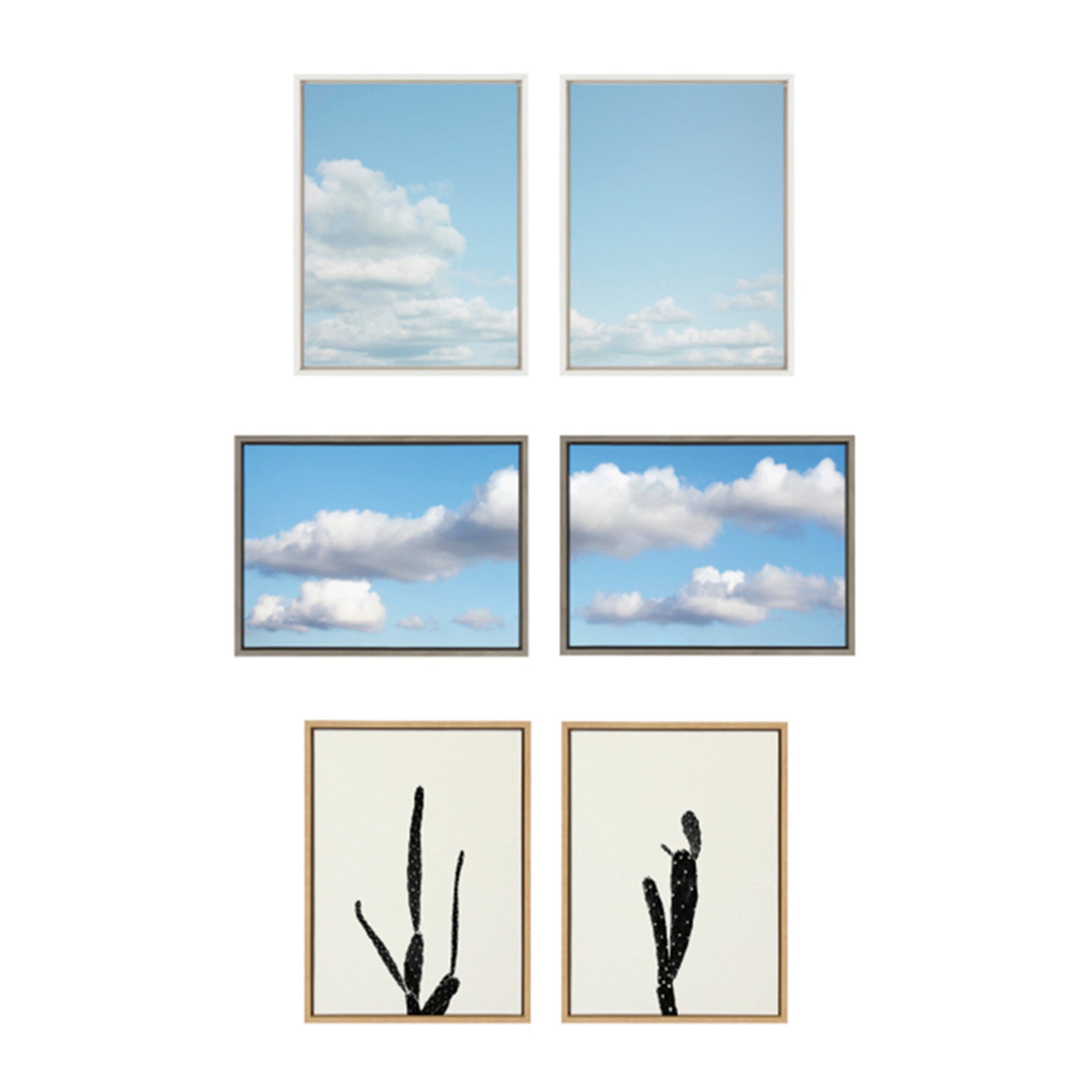 Sylvie Black and White Vintage Film Grain Cactus 1 and 2 Framed Canvas by kateandlaurel - product image 4 for Resin Society