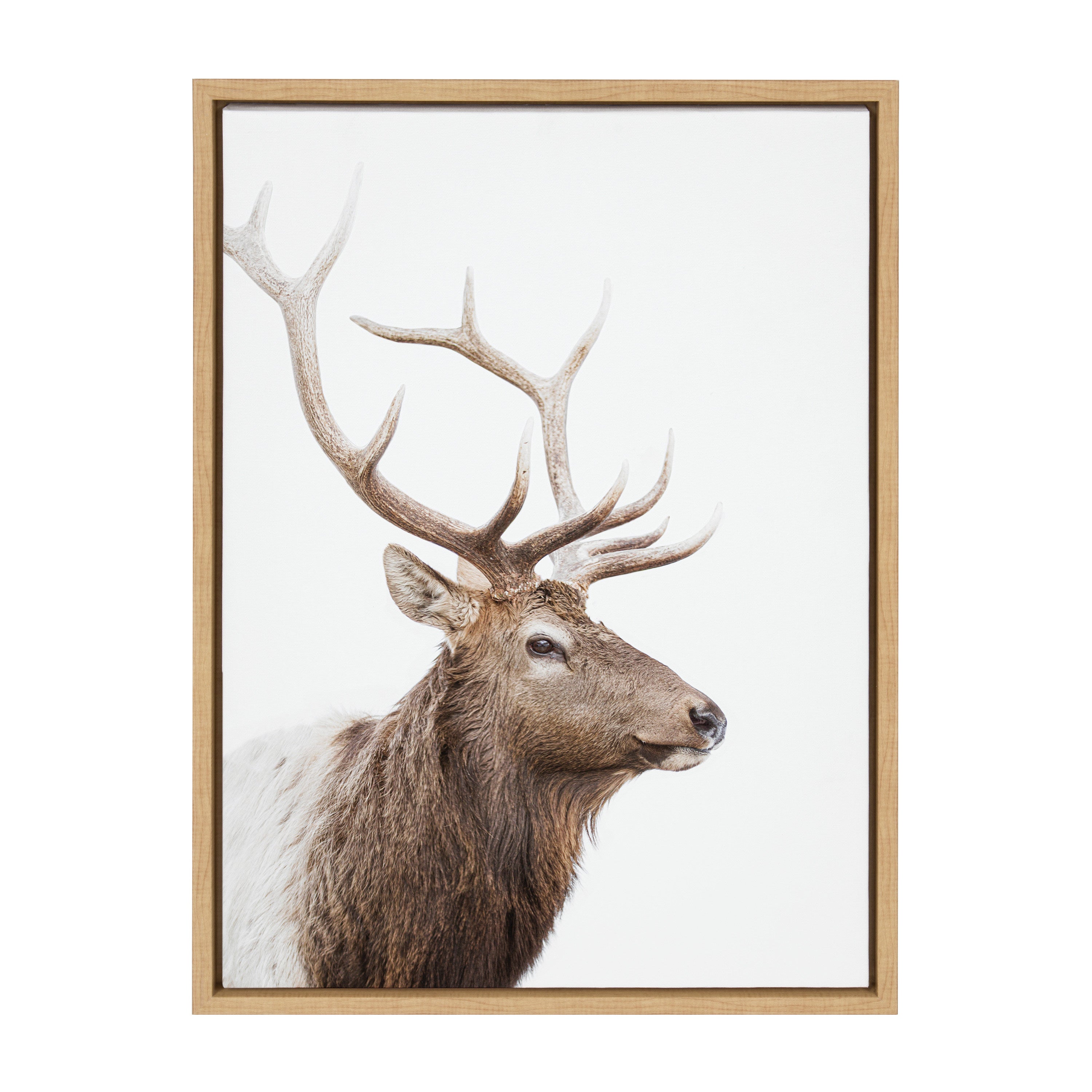 Sylvie Stag Profile Framed Canvas by Amy Peterson Art Studio