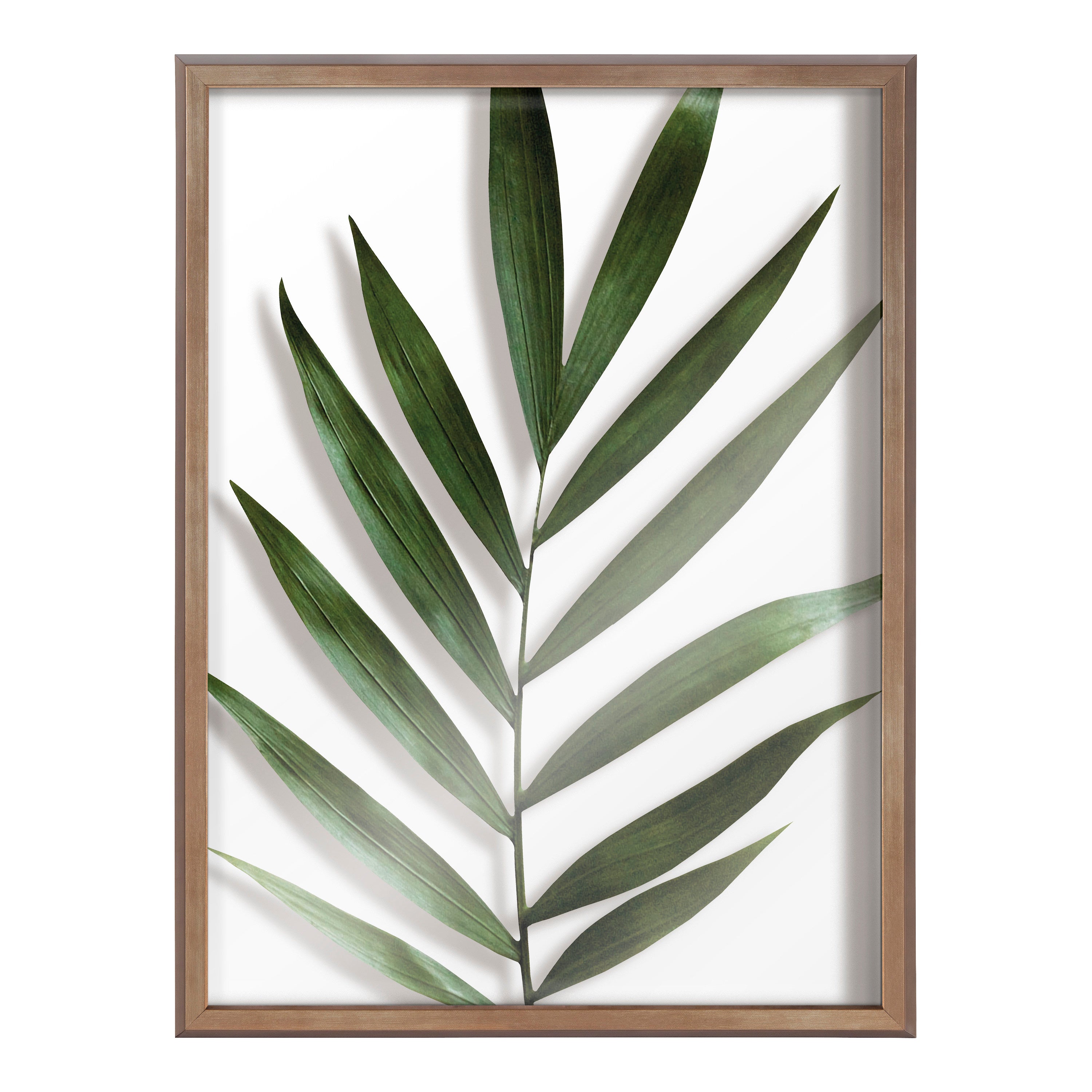 Blake Botanical 5F Framed Printed Glass by Amy Peterson by kateandlaurel - product image 2 for Resin Society