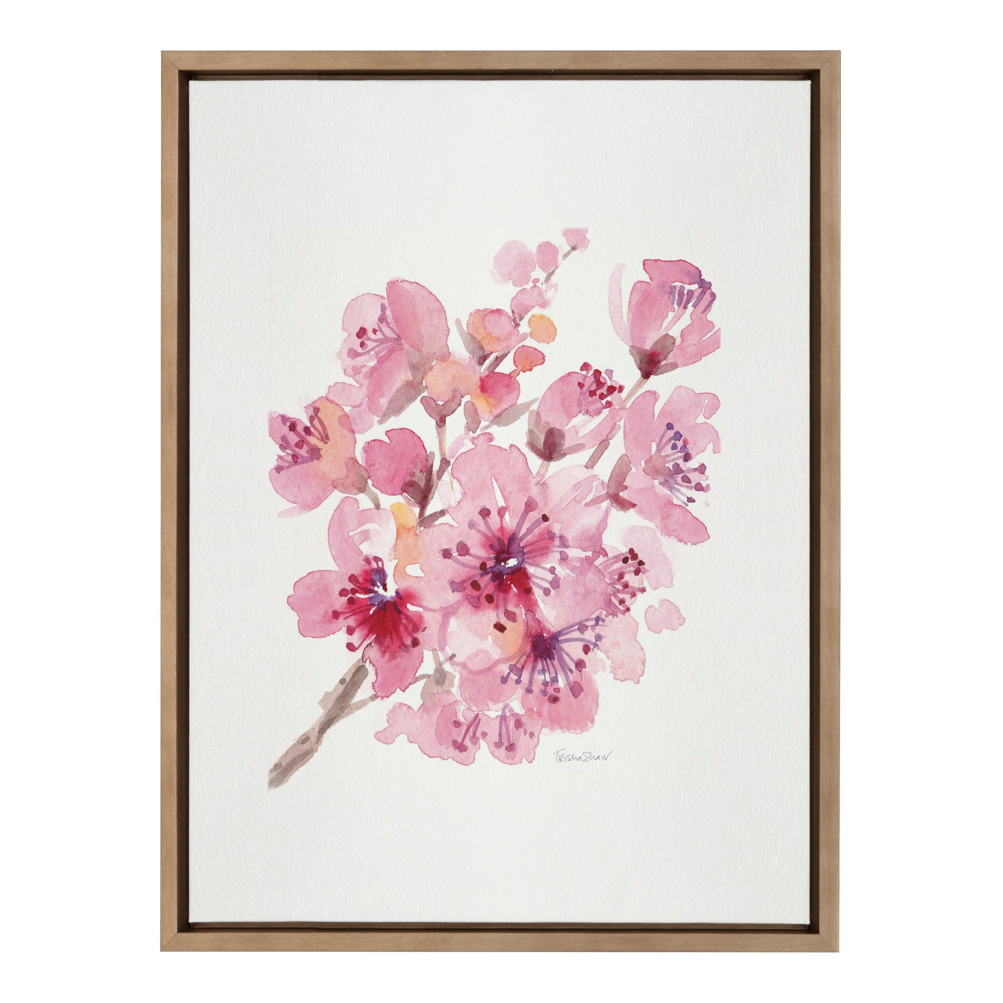 Sylvie Cherry Blossom 2 Framed Canvas by kateandlaurel - main product image for Resin Society