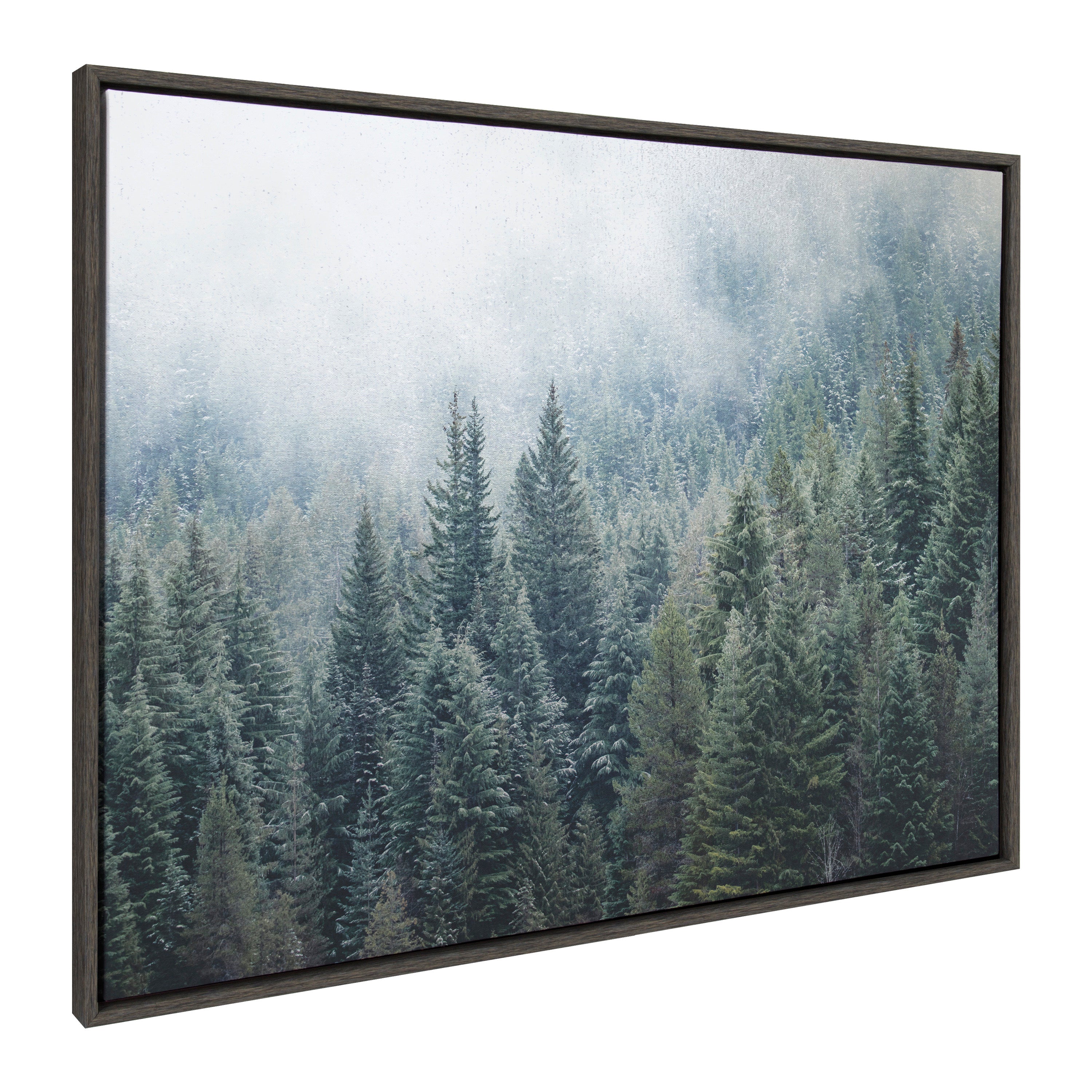 Sylvie Evergreen Dream 2 Framed Canvas by Emiko and Mark Franzen of F2Images