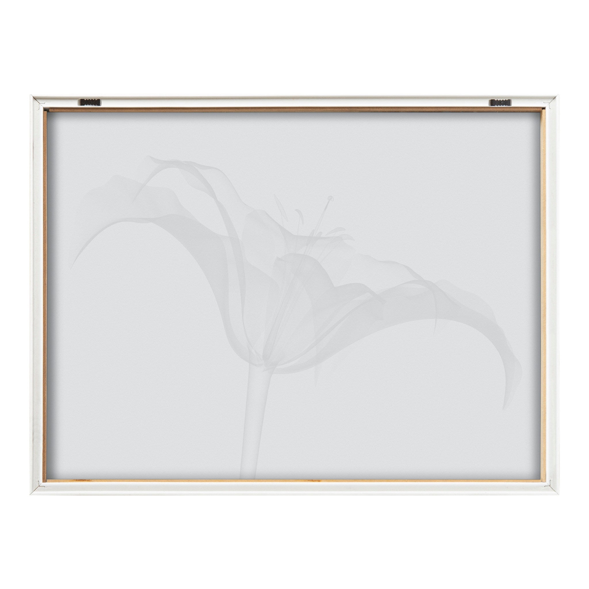Blake Lily X Ray Floral BW Framed Printed Art by The Creative Bunch Studio