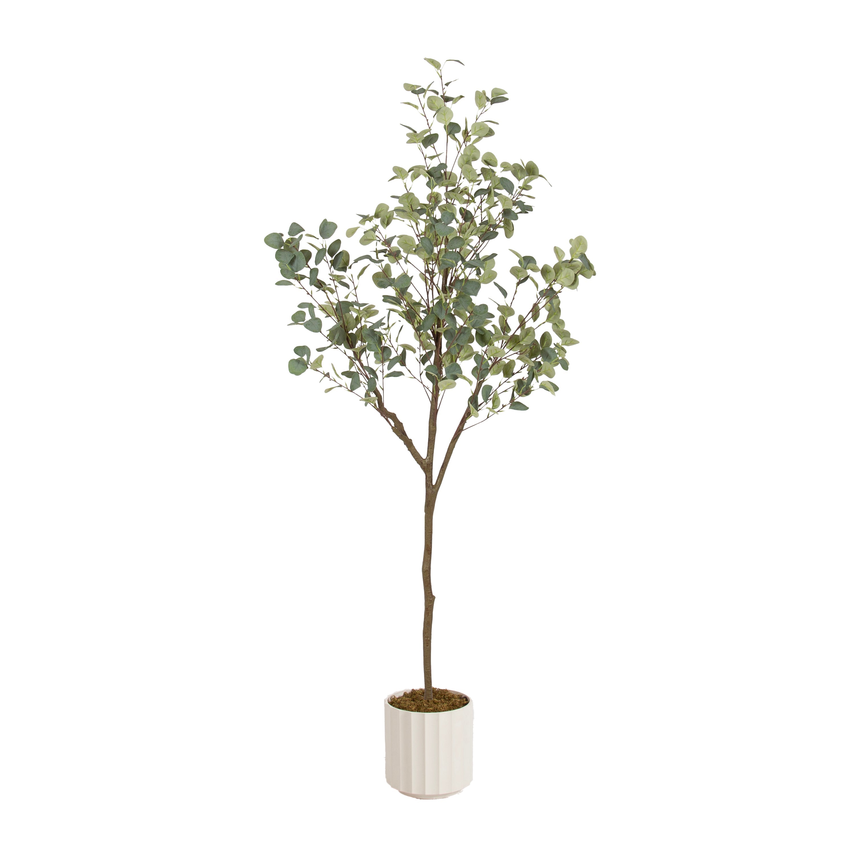 Eudora Faux Eucalyptus Tree - Kate and Laurel