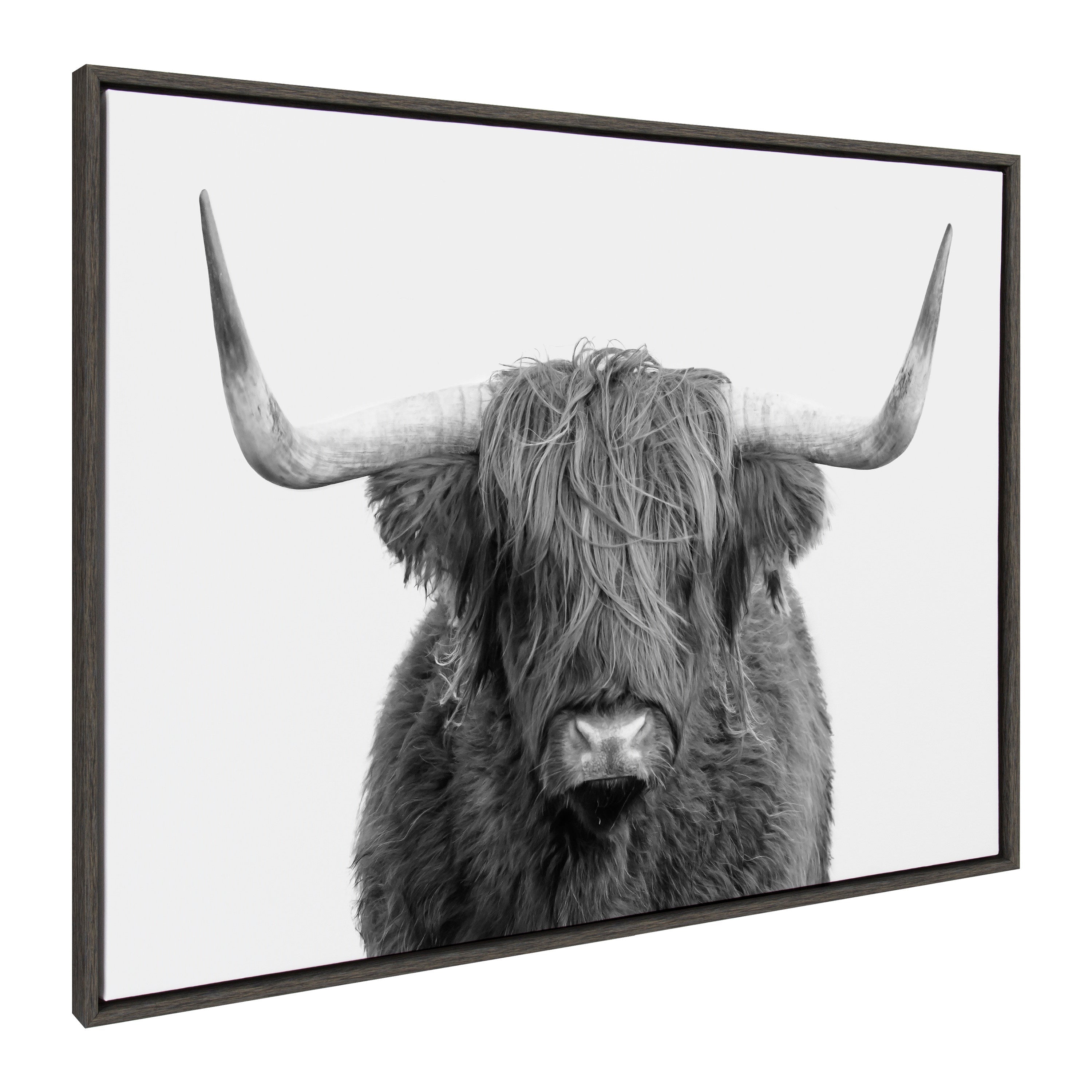 Sylvie Highland Cow Portrait Framed Canvas by Amy Peterson Art Studio by kateandlaurel - product image 7 for Resin Society