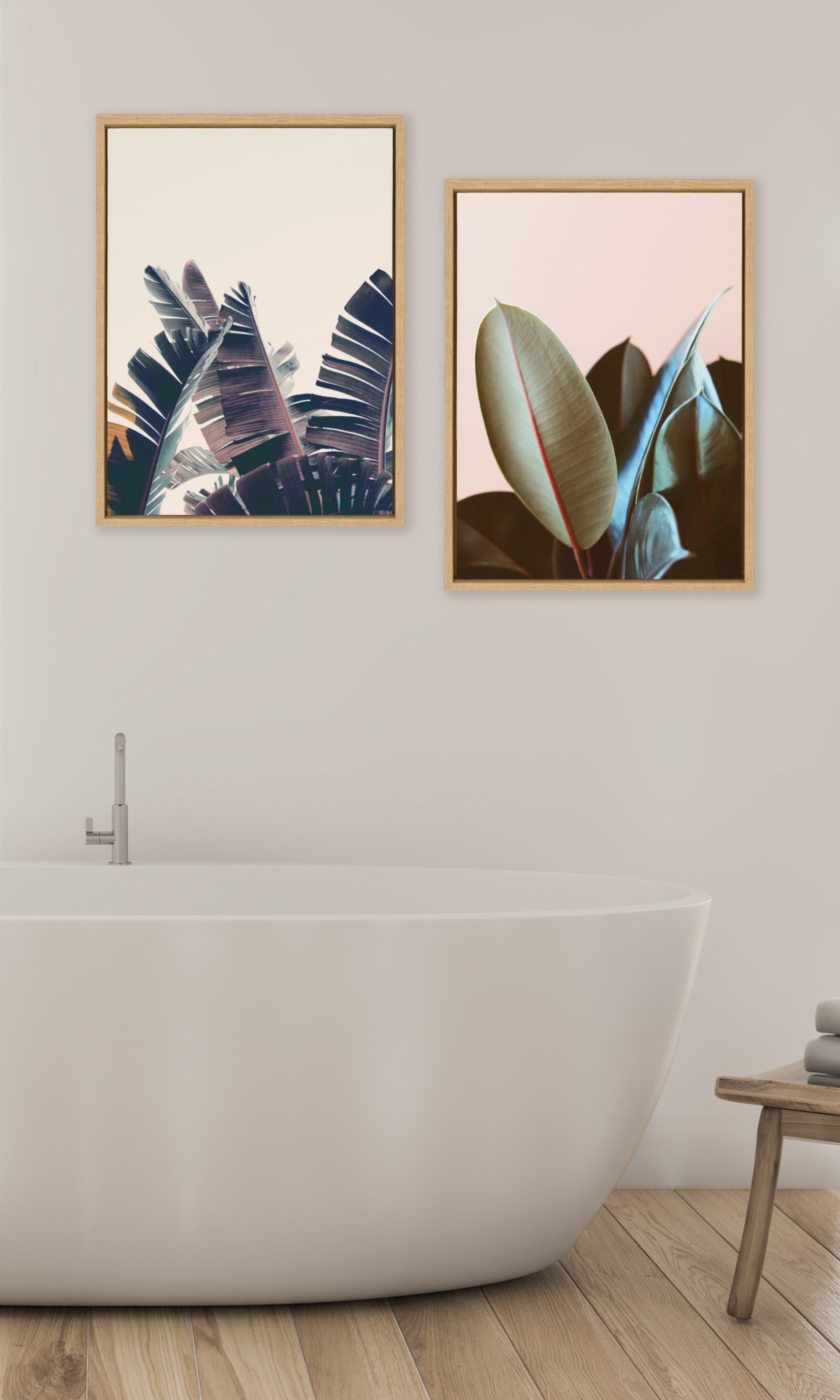 Sylvie Ficus Elastica Framed Canvas by Alicia Bock