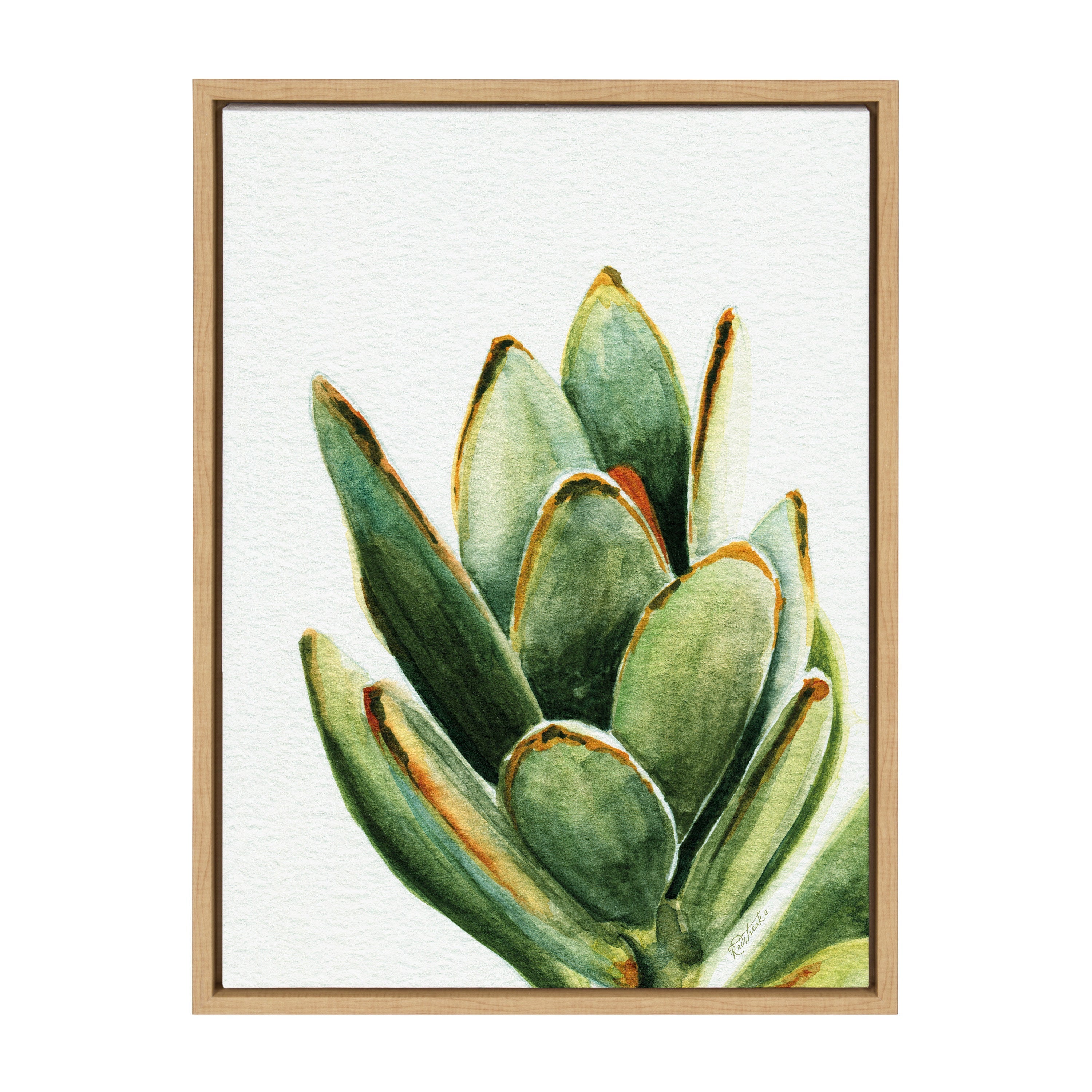 Sylvie Succulent 18 Framed Canvas by kateandlaurel - product image 6 for Resin Society