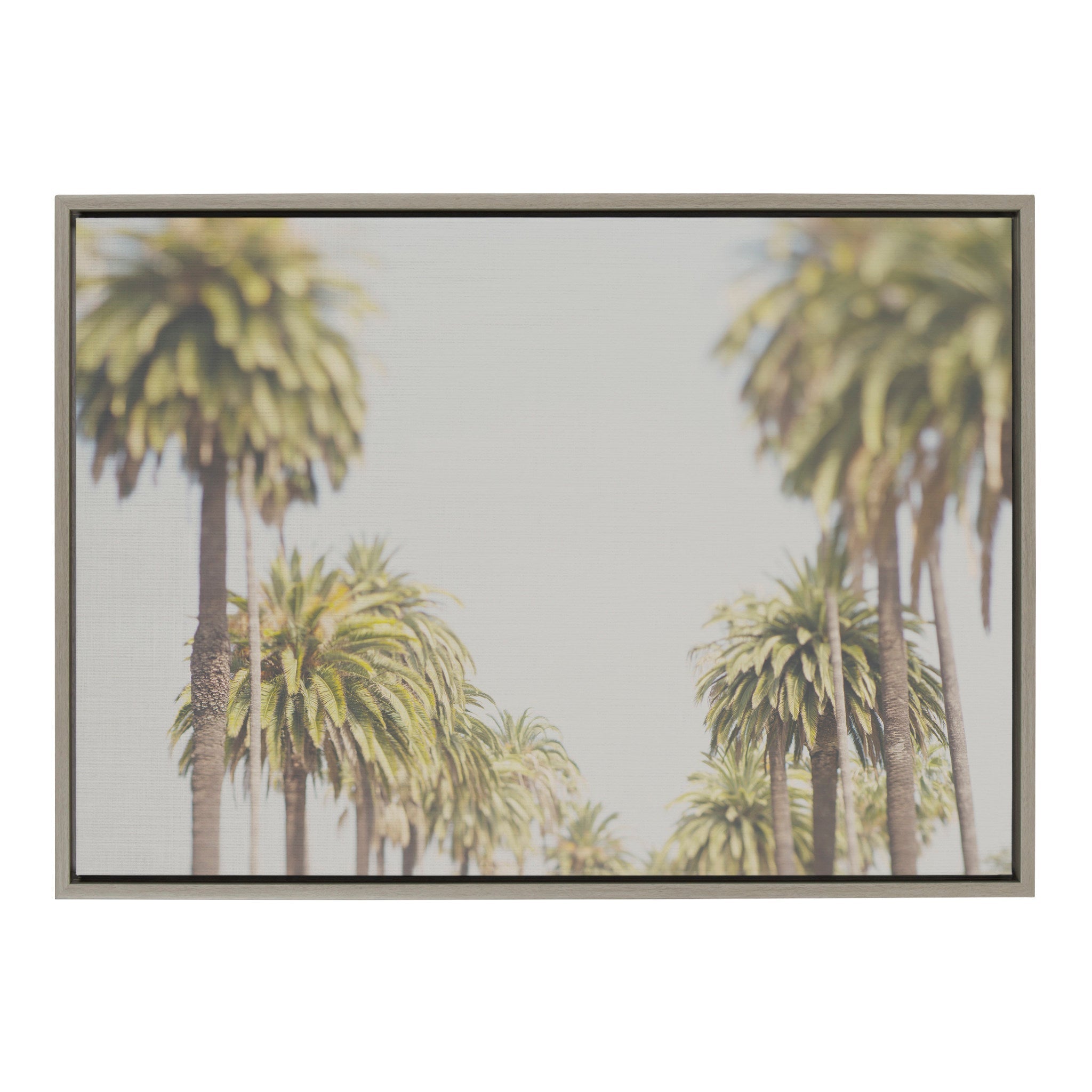 Sylvie LA California Palm Trees Framed Canvas by Laura Evans by kateandlaurel - main product image for Resin Society