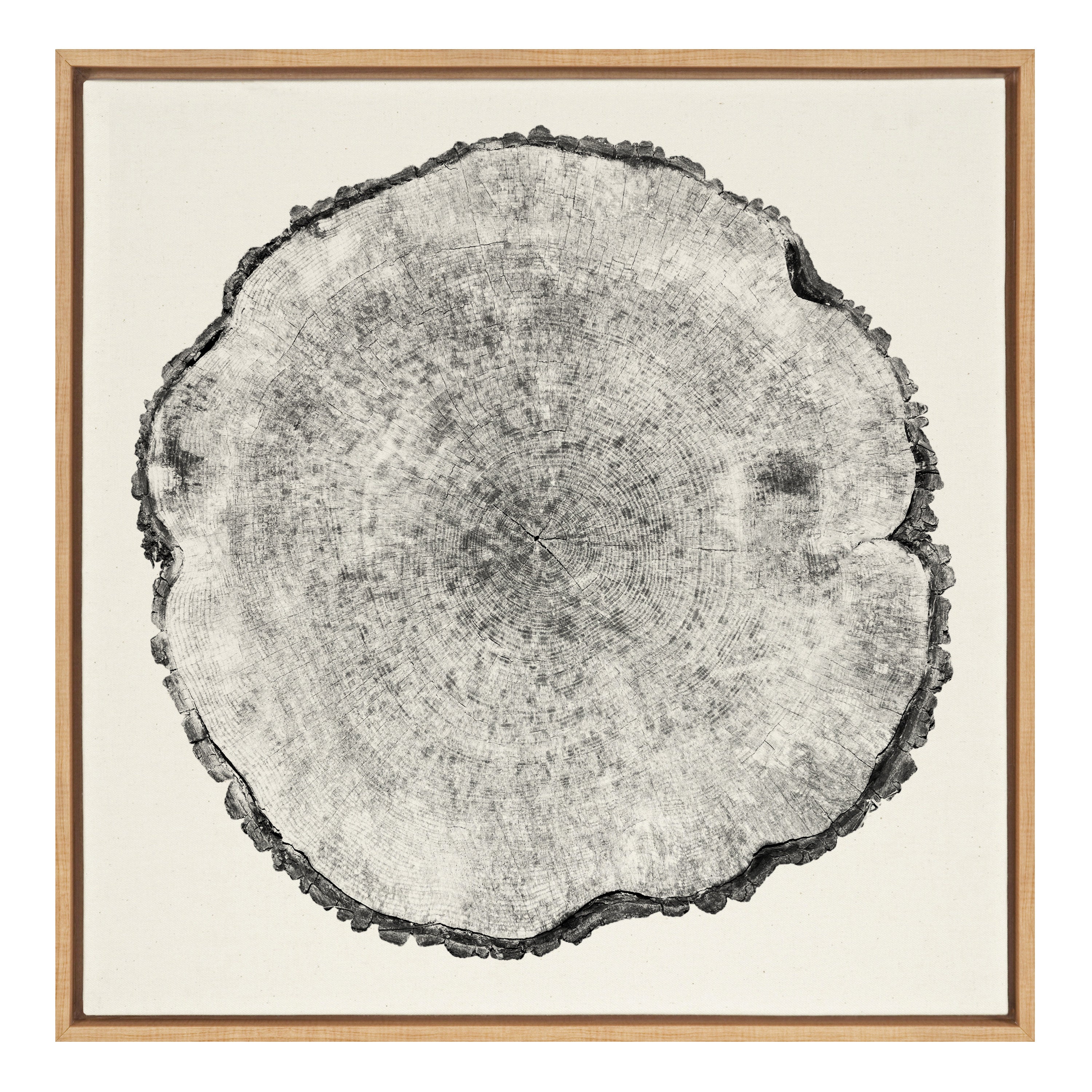 Sylvie Tree Rings Linen Framed Canvas by kateandlaurel - product image 11 for Resin Society