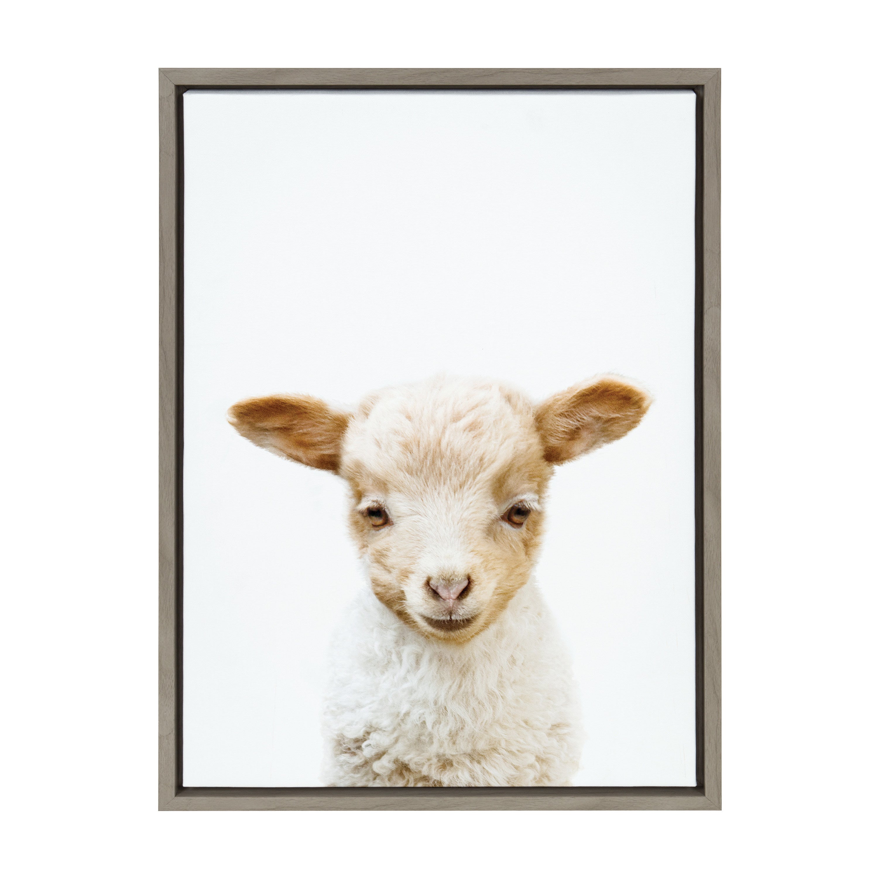 Sylvie Animal Studio Lamb Framed Canvas by Amy Peterson Art Studio