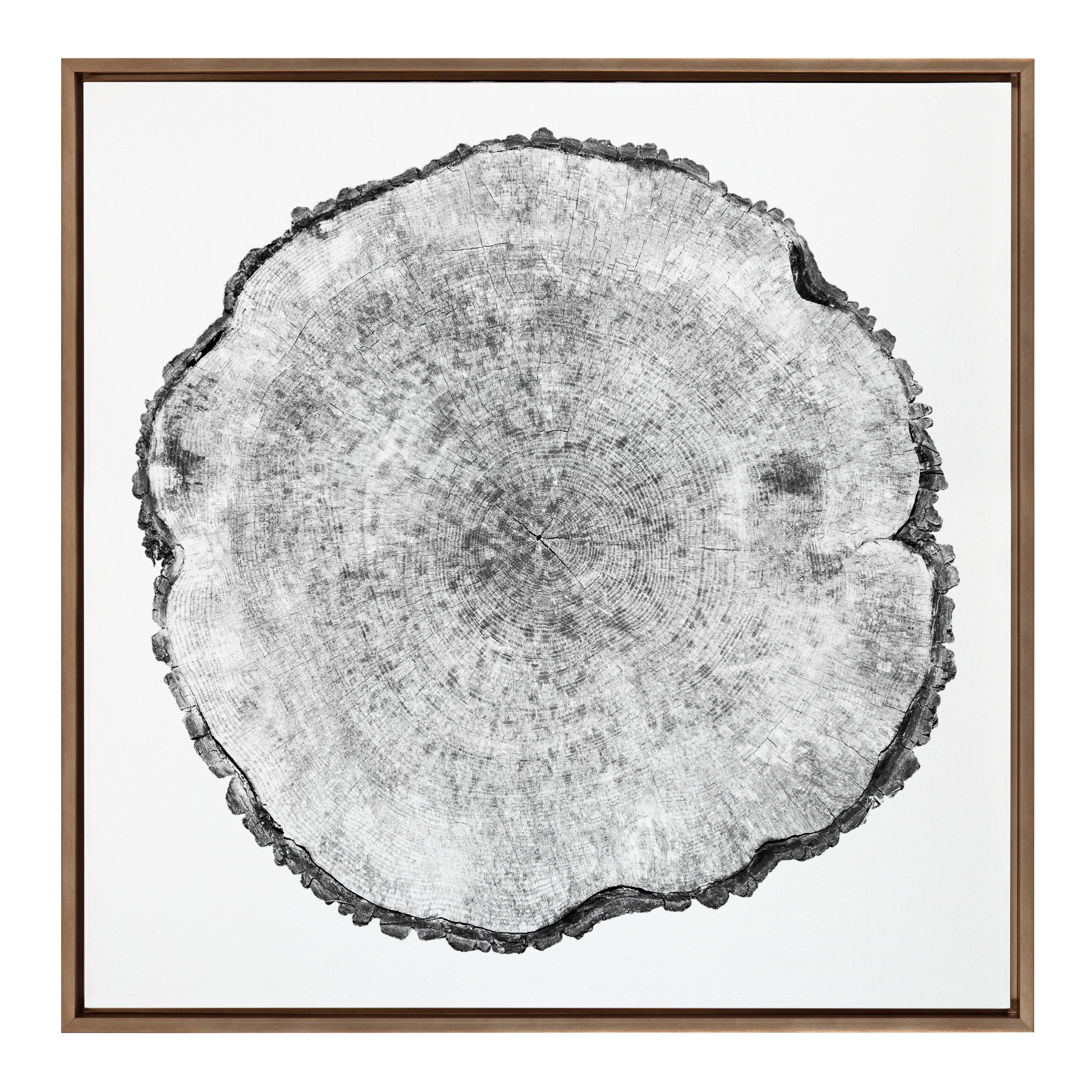 Sylvie Tree Rings Framed Canvas by kateandlaurel - product image 2 for Resin Society