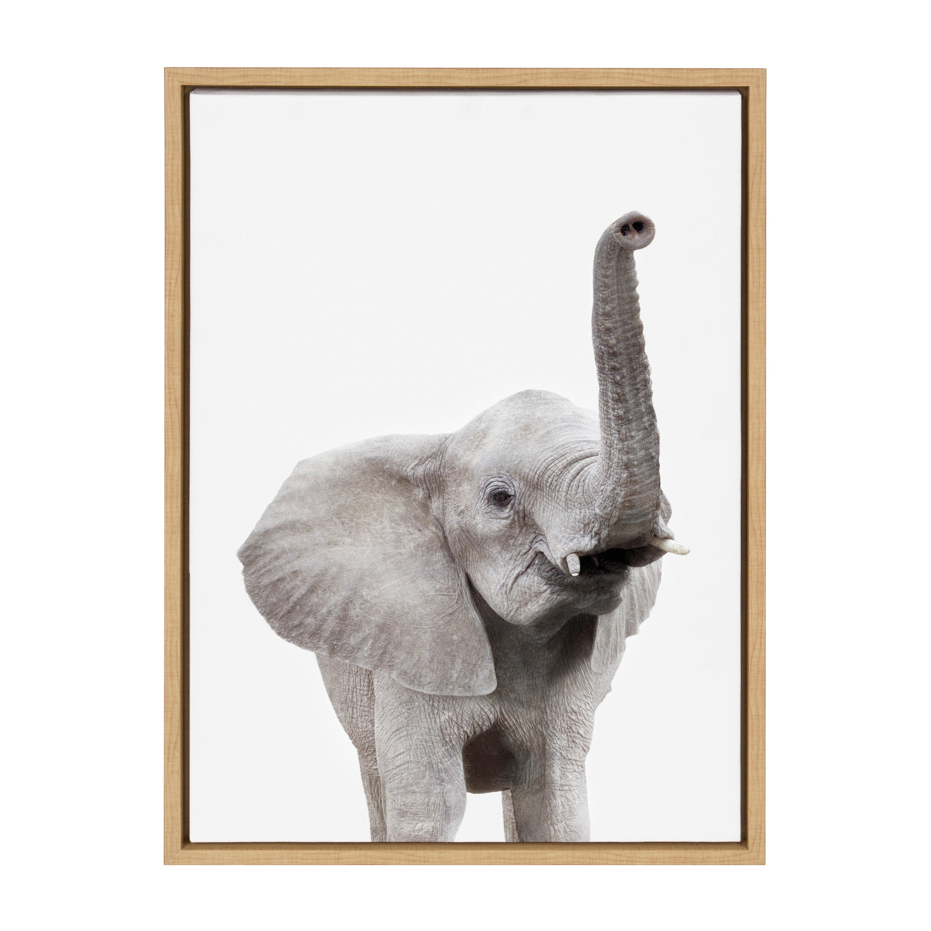 Sylvie Young Elephant Framed Canvas by Amy Peterson by kateandlaurel - product image 2 for Resin Society