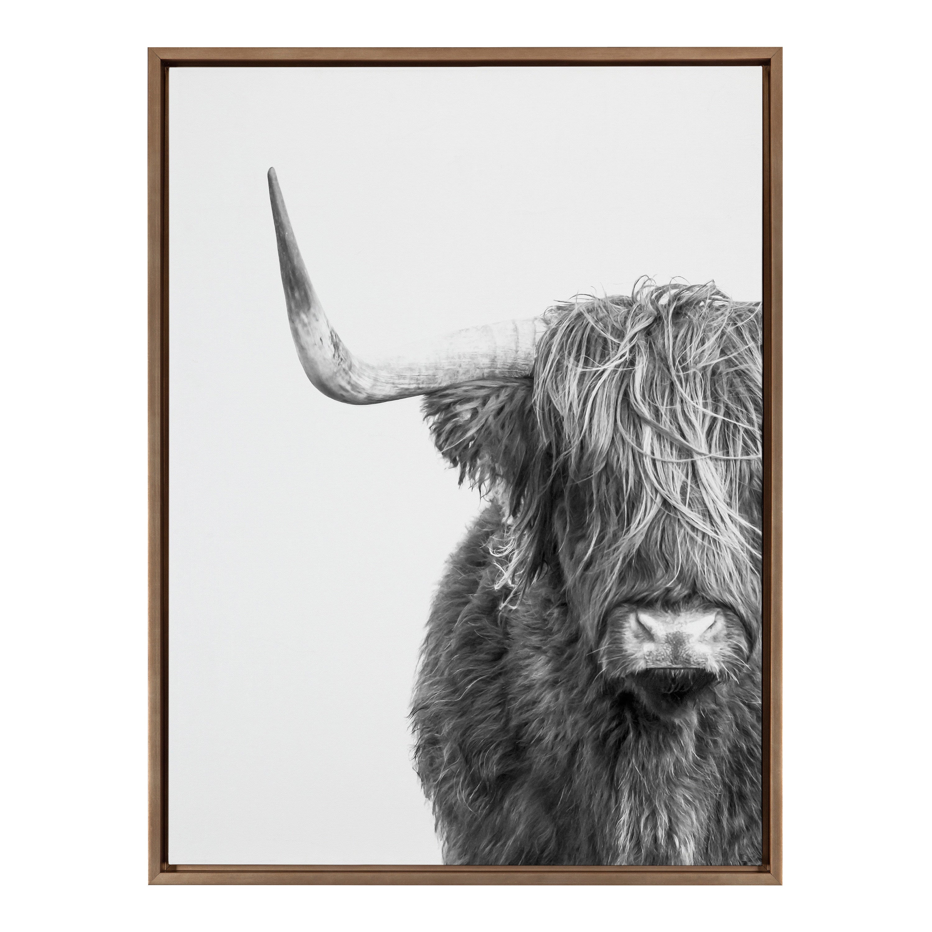 Sylvie B&W Highland Cow No. 1 Framed Canvas by Amy Peterson Art Studio