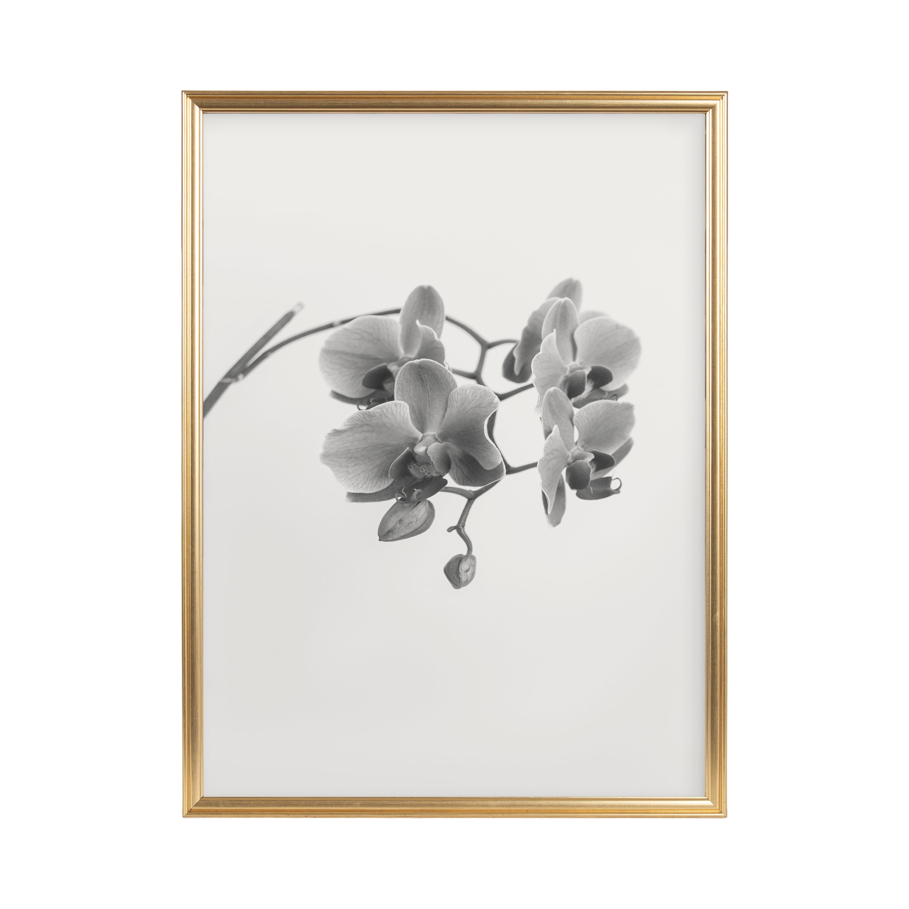 Adlynn Photo Frame Set