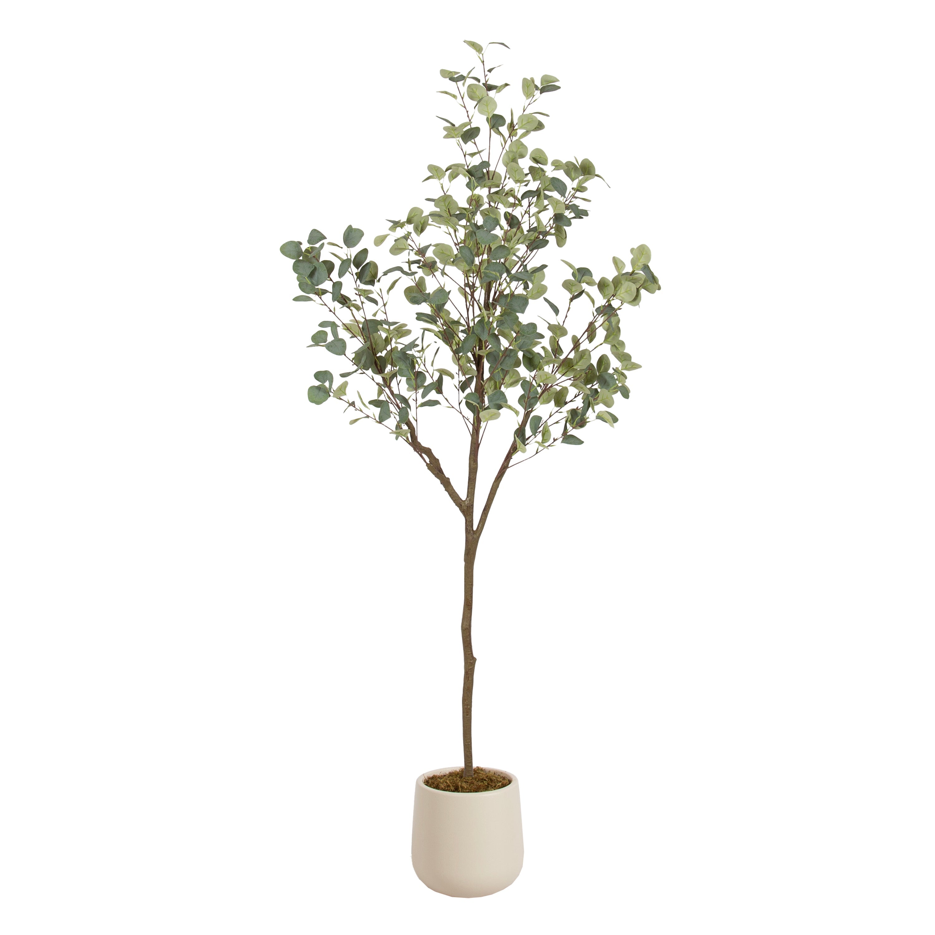 Eudora Faux Eucalyptus Tree - Kate and Laurel