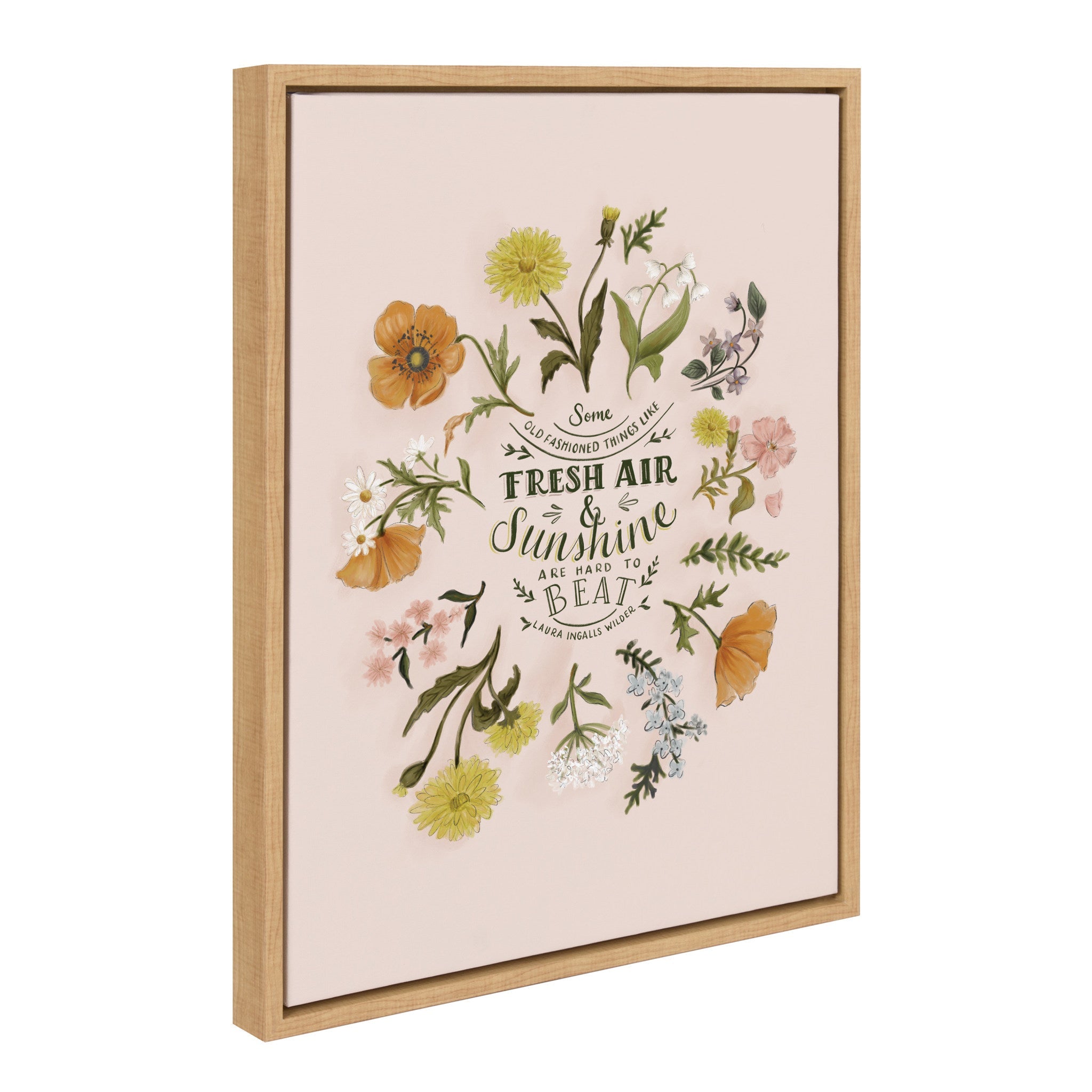 Sylvie Some Old Fashioned Things Framed Canvas by Valerie McKeehan of by kateandlaurel - product image 2 for Resin Society