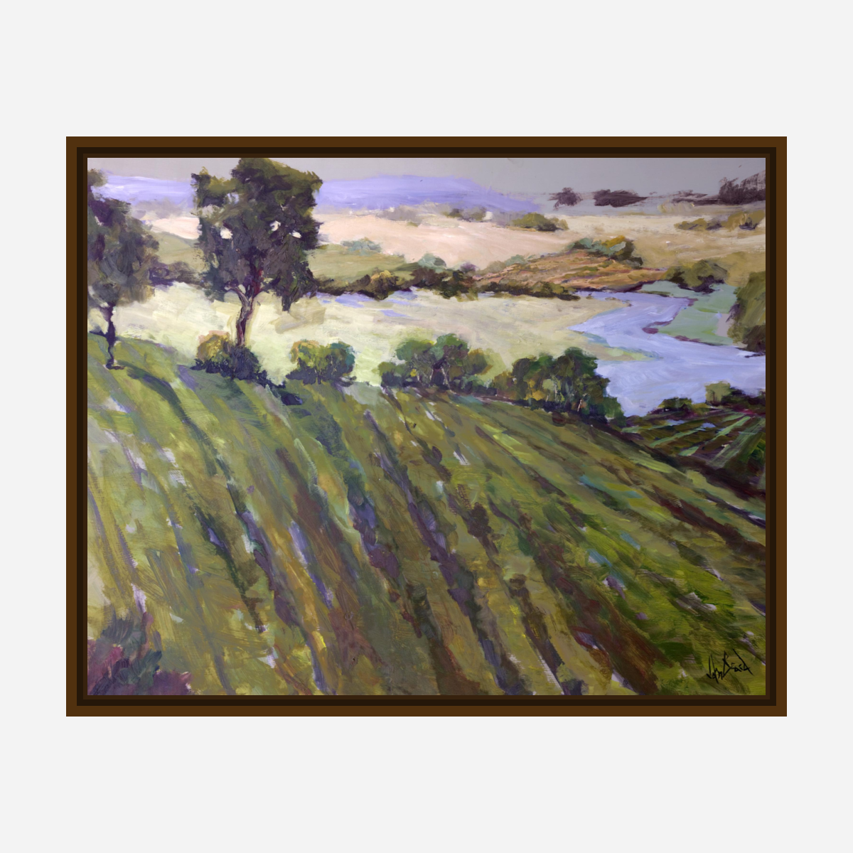 Vineyard Artist Enhanced Canvas Print by John Beard Collection - product image 7 for Resin Society