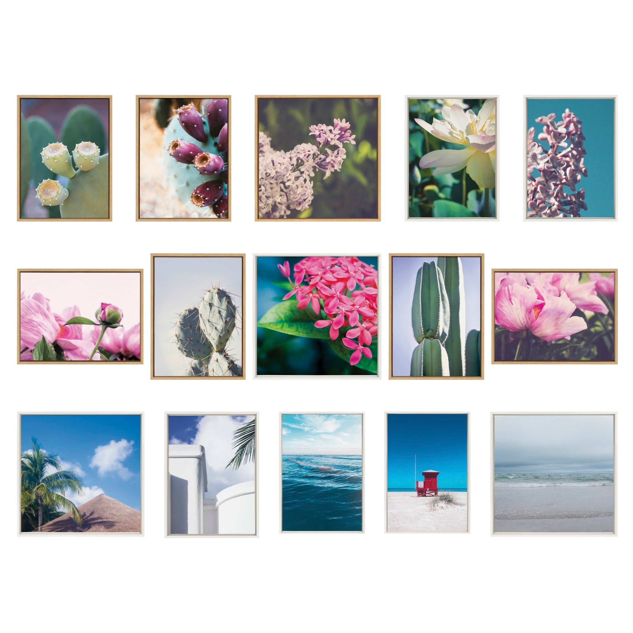 Sylvie Arizona Prickly Pear Cactus Framed Canvas by Stephanie Klatt