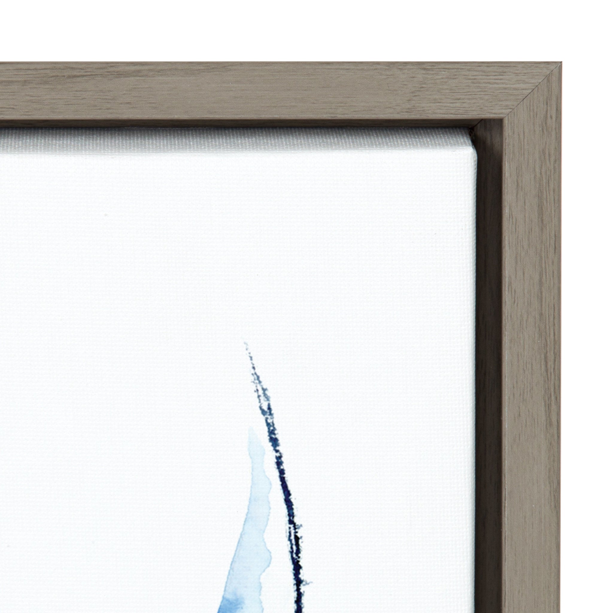 Sylvie Whale Shark Framed Canvas Art by Cathy Zhang by kateandlaurel - product image 3 for Resin Society
