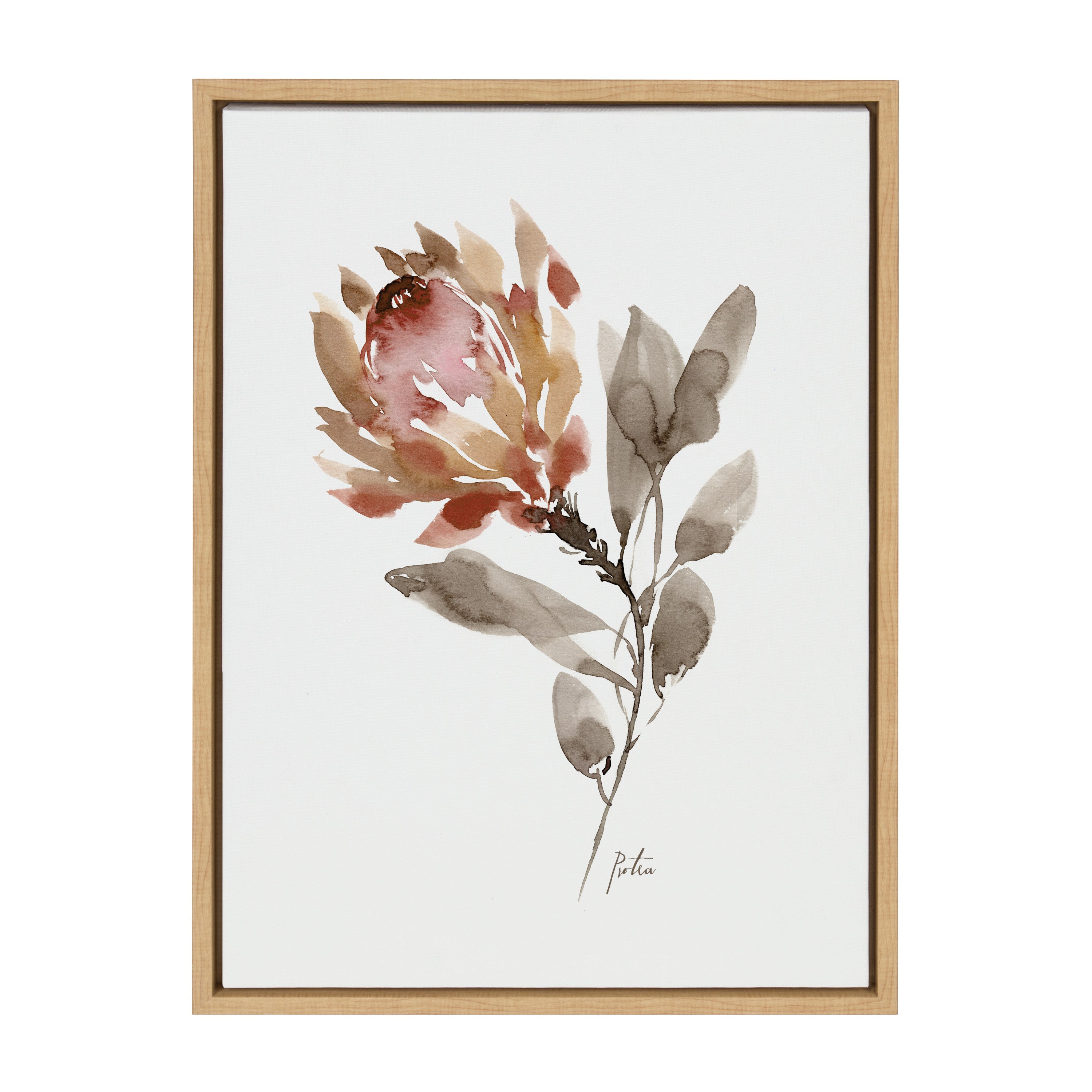 Sylvie Wild King Protea Framed Canvas by kateandlaurel - product image 11 for Resin Society