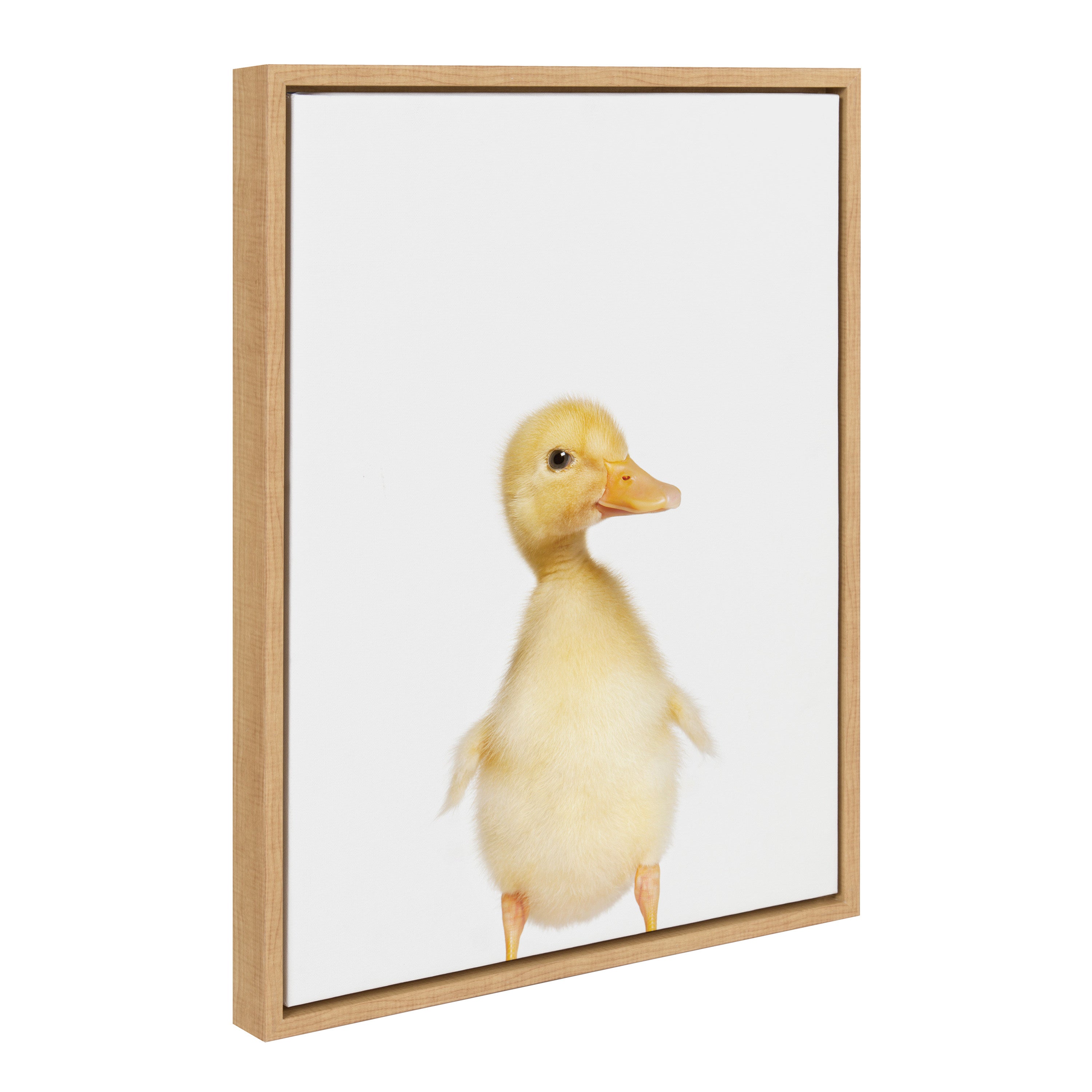 Sylvie Animal Studio Duck Framed Canvas by kateandlaurel - product image 9 for Resin Society