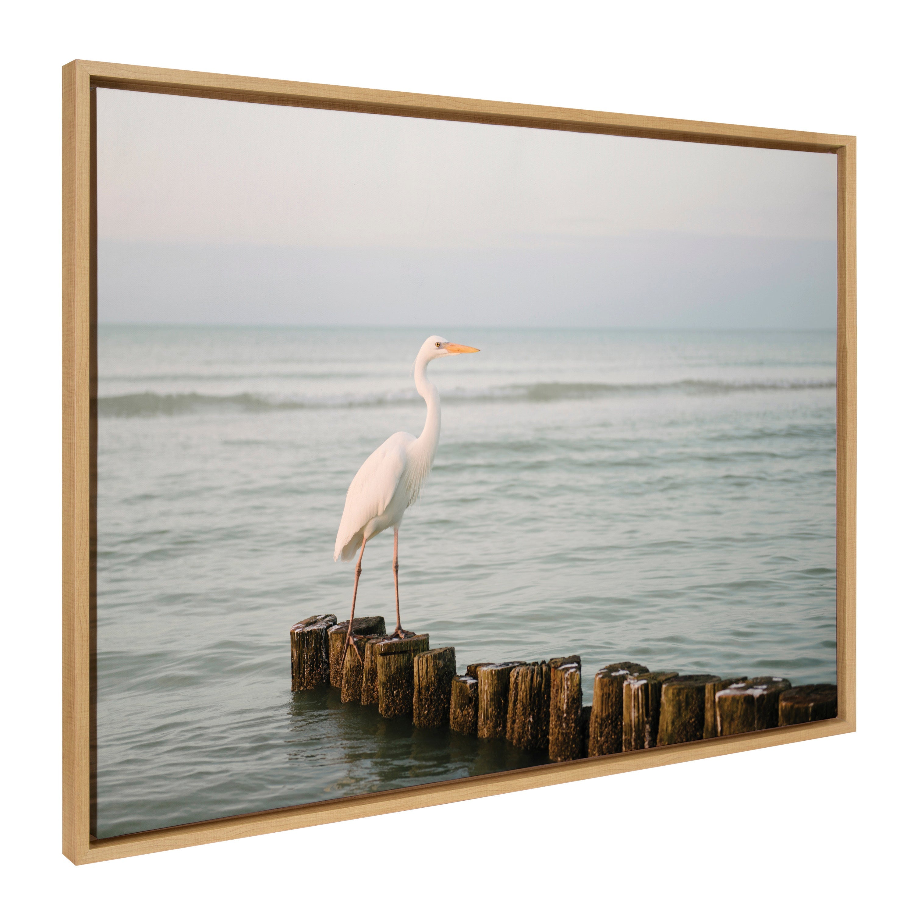 Sylvie Great White Heron Isla Holbox Framed Canvas by Crystal Lynn Collins