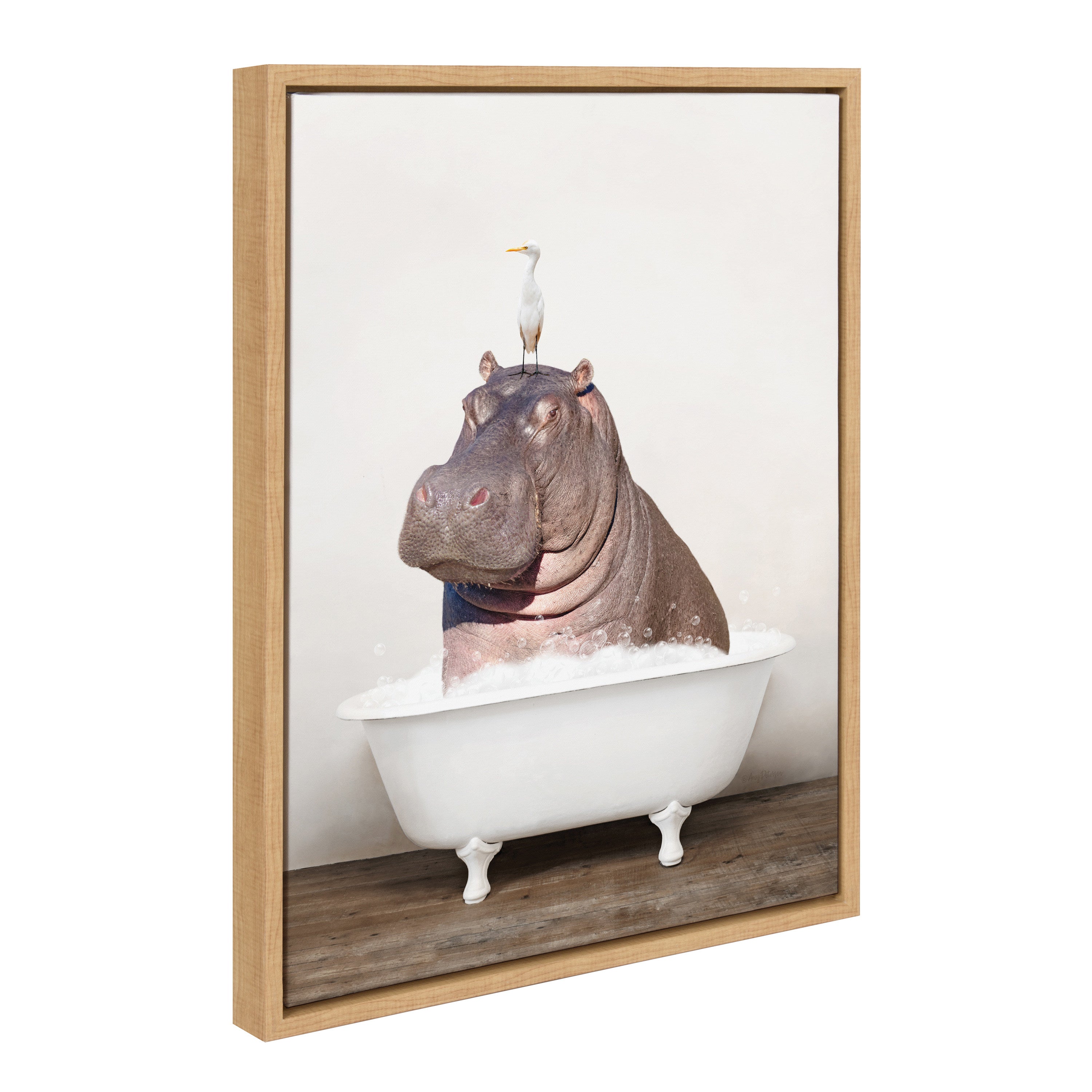 Sylvie Hippo and Bird in Rustic Bath Framed Canvas by kateandlaurel - product image 7 for Resin Society