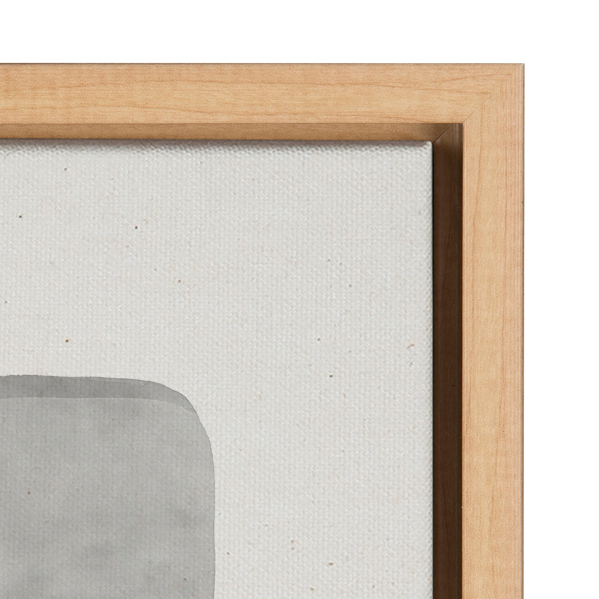 Sylvie Neutral Mod Abstraction Black and White Framed Canvas by kateandlaurel - product image 3 for Resin Society