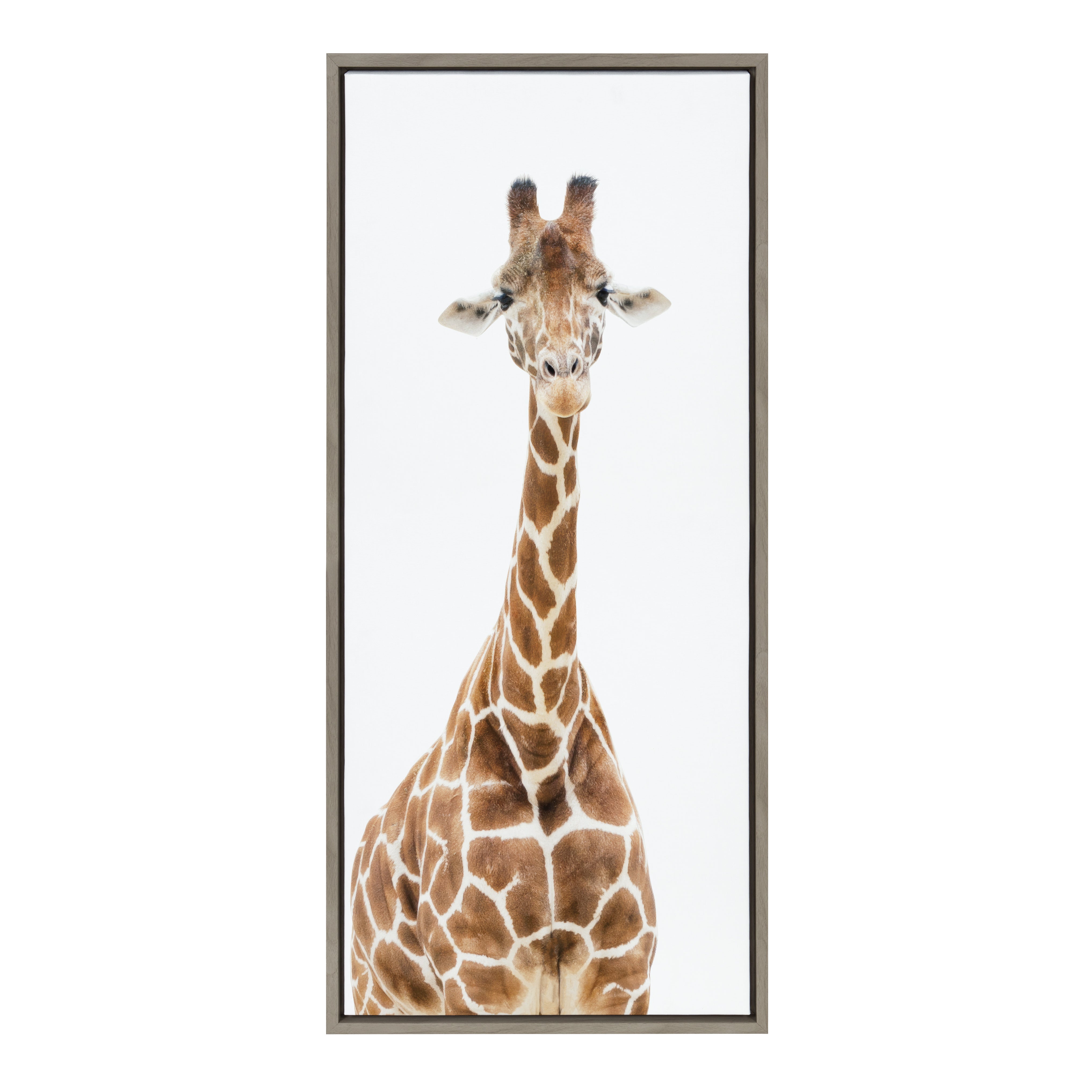Sylvie Standing Giraffe Framed Canvas by Amy Peterson