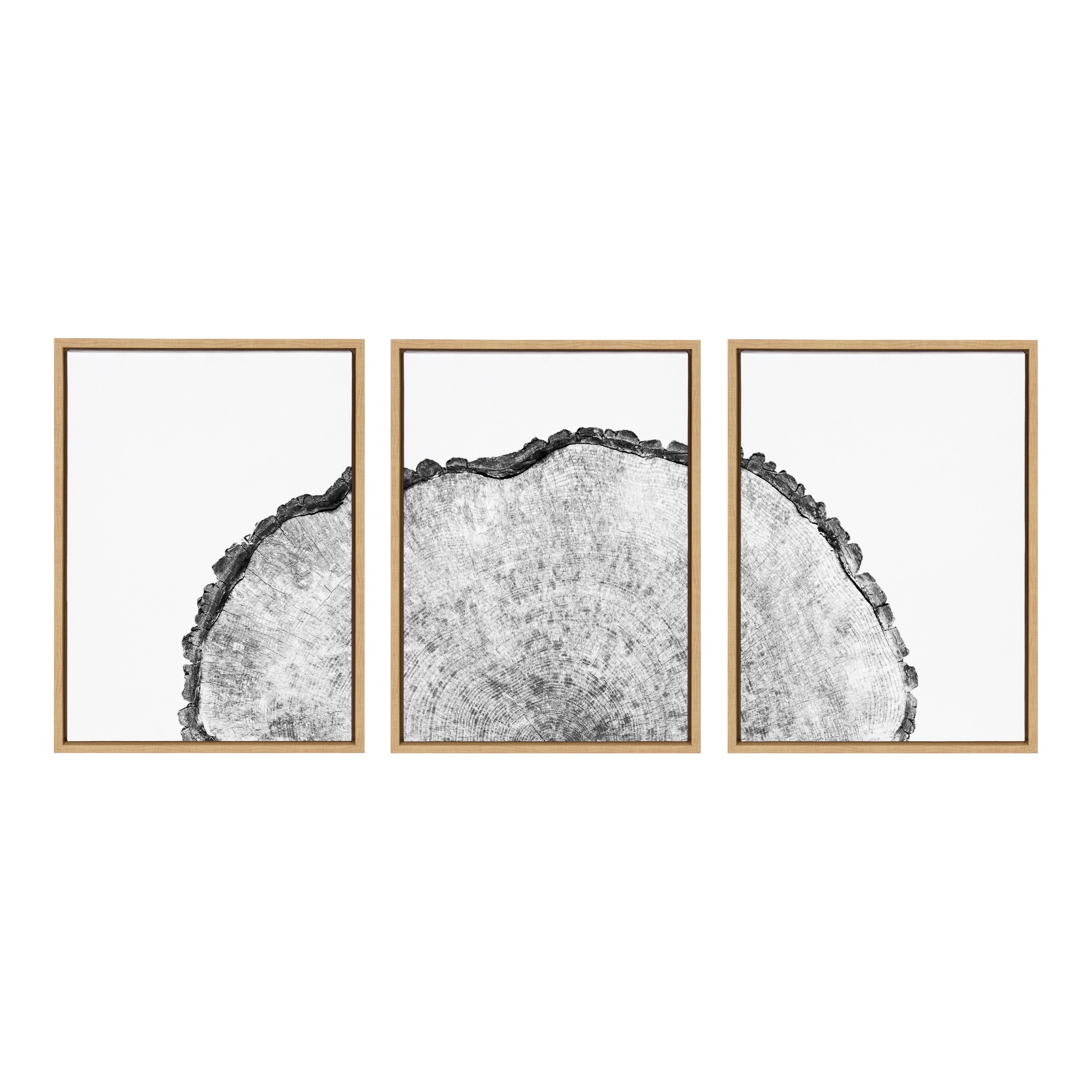 Sylvie Tree Rings Set Framed Canvas by kateandlaurel - product image 2 for Resin Society