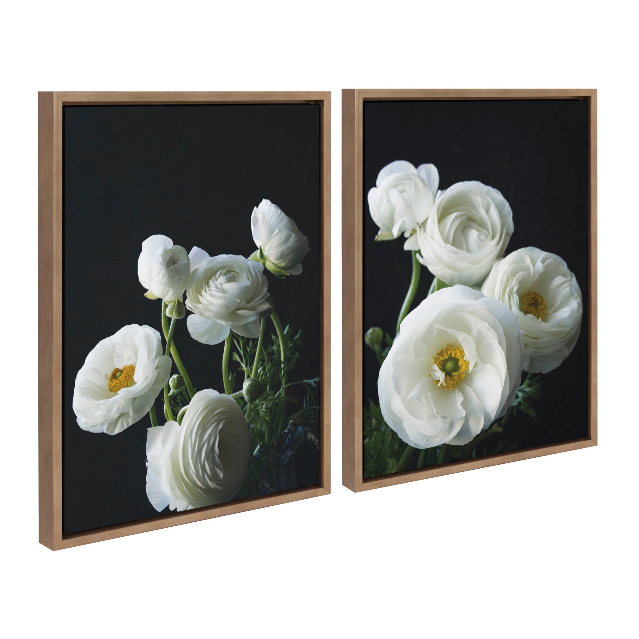 Sylvie White Ranunculus Framed Canvas Set by kateandlaurel - product image 2 for Resin Society