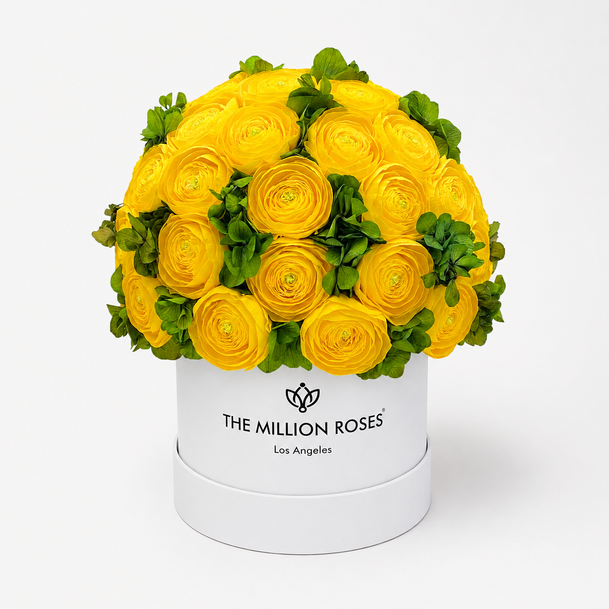 Classic White Box by The Million Roses - main product image for Resin Society