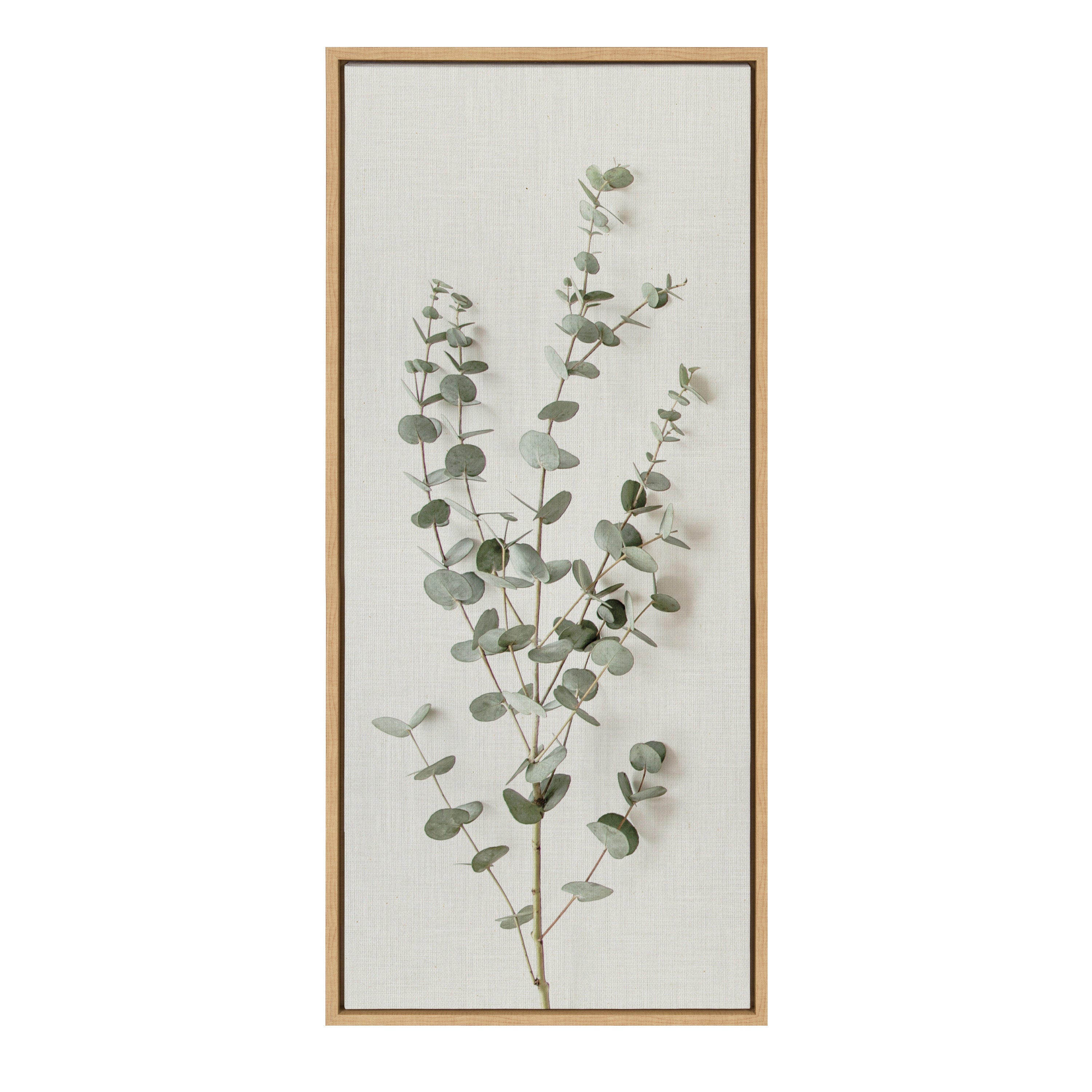 Sylvie Eucalyptus Botanical I Framed Canvas by The Creative Bunch Studio by kateandlaurel - product image 2 for Resin Society