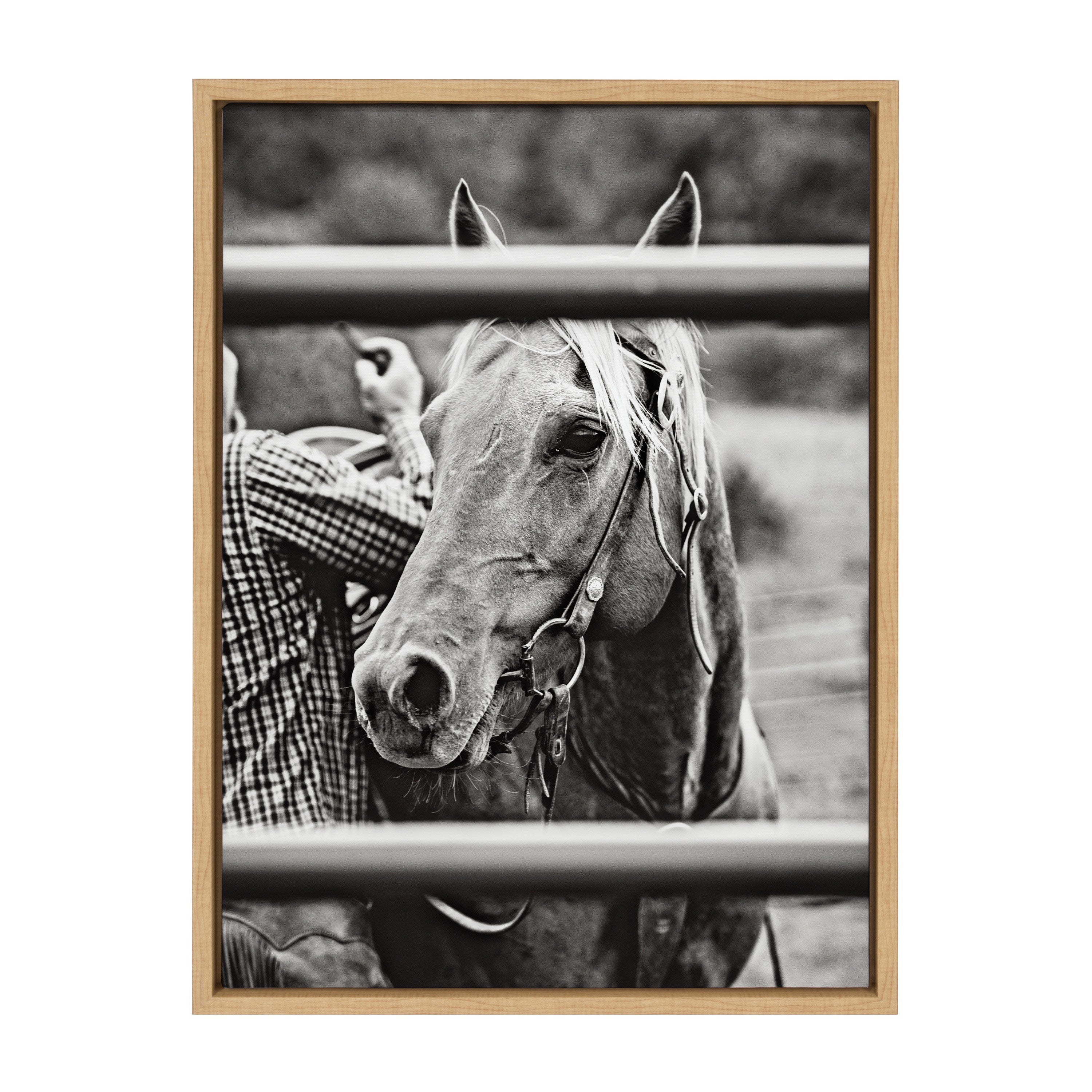 Sylvie Photo Saddling Horse Framed Canvas by The Whiskey Ginger