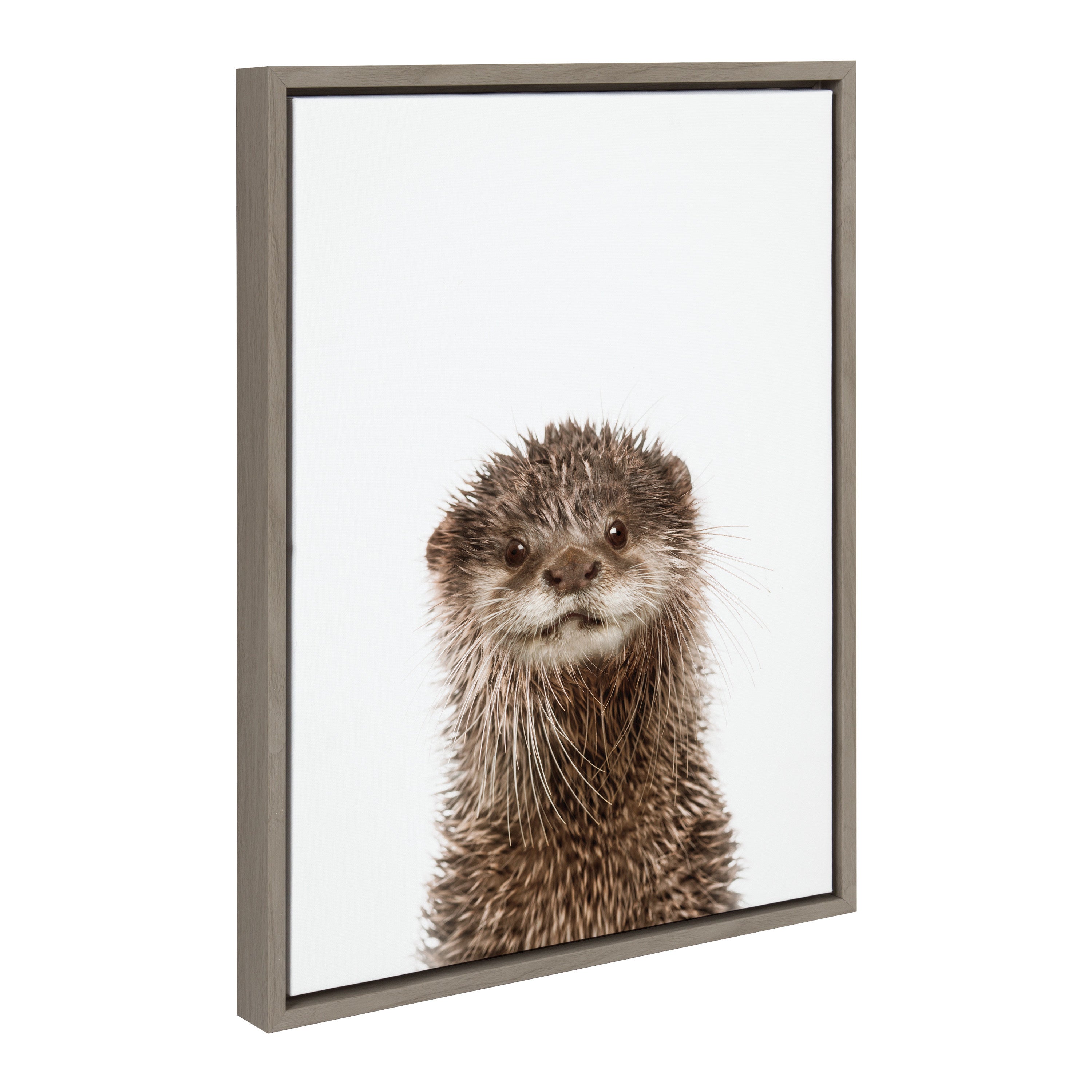 Framed canvas art featuring a light-toned otter illustration with a floating effect frame in natural color.