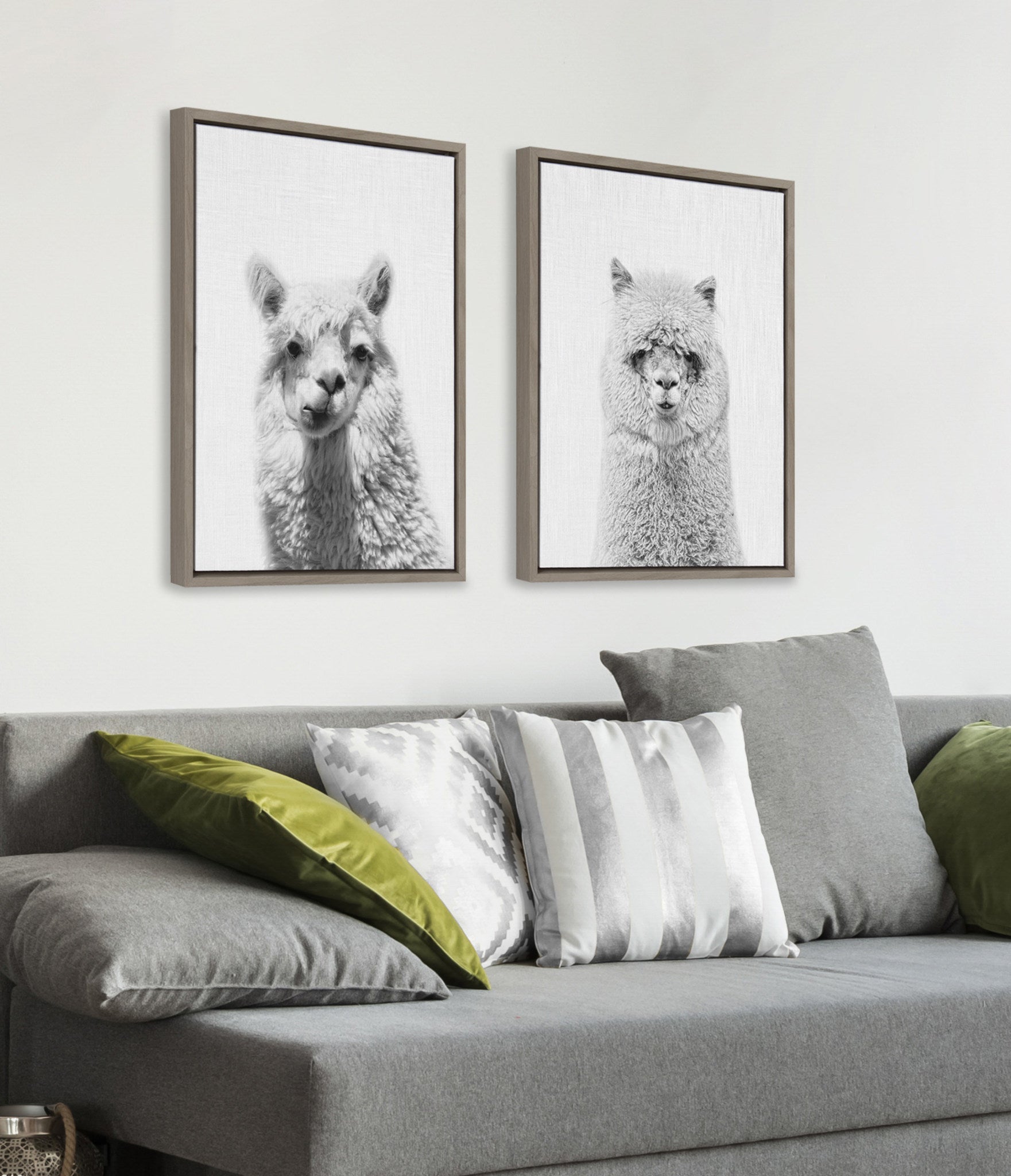 Sylvie Alpaca Portrait Set Framed Canvas By Simon Te by kateandlaurel - product image 6 for Resin Society