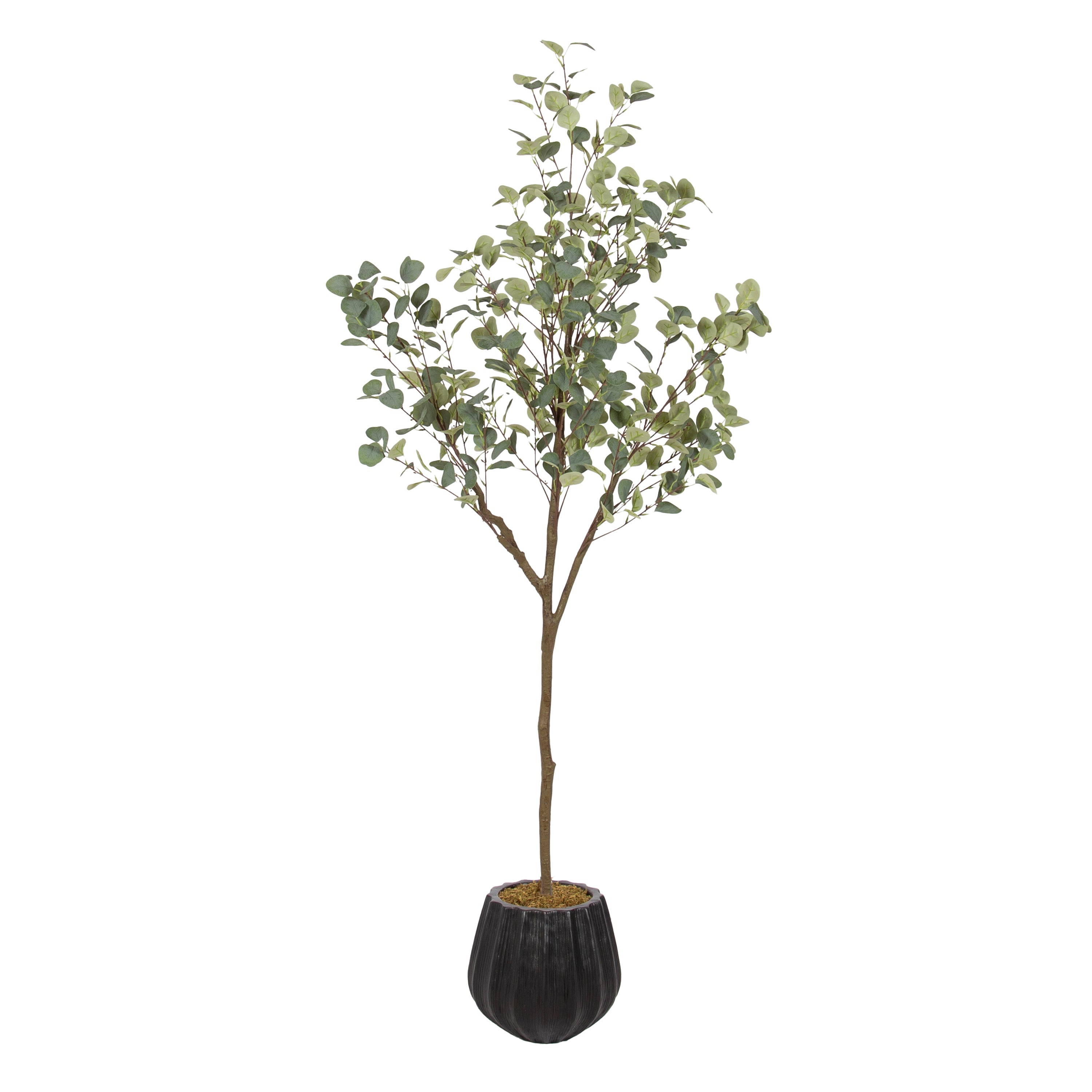 Kate and Laurel Eudora faux eucalyptus tree with soft green leaves in a black nursery pot