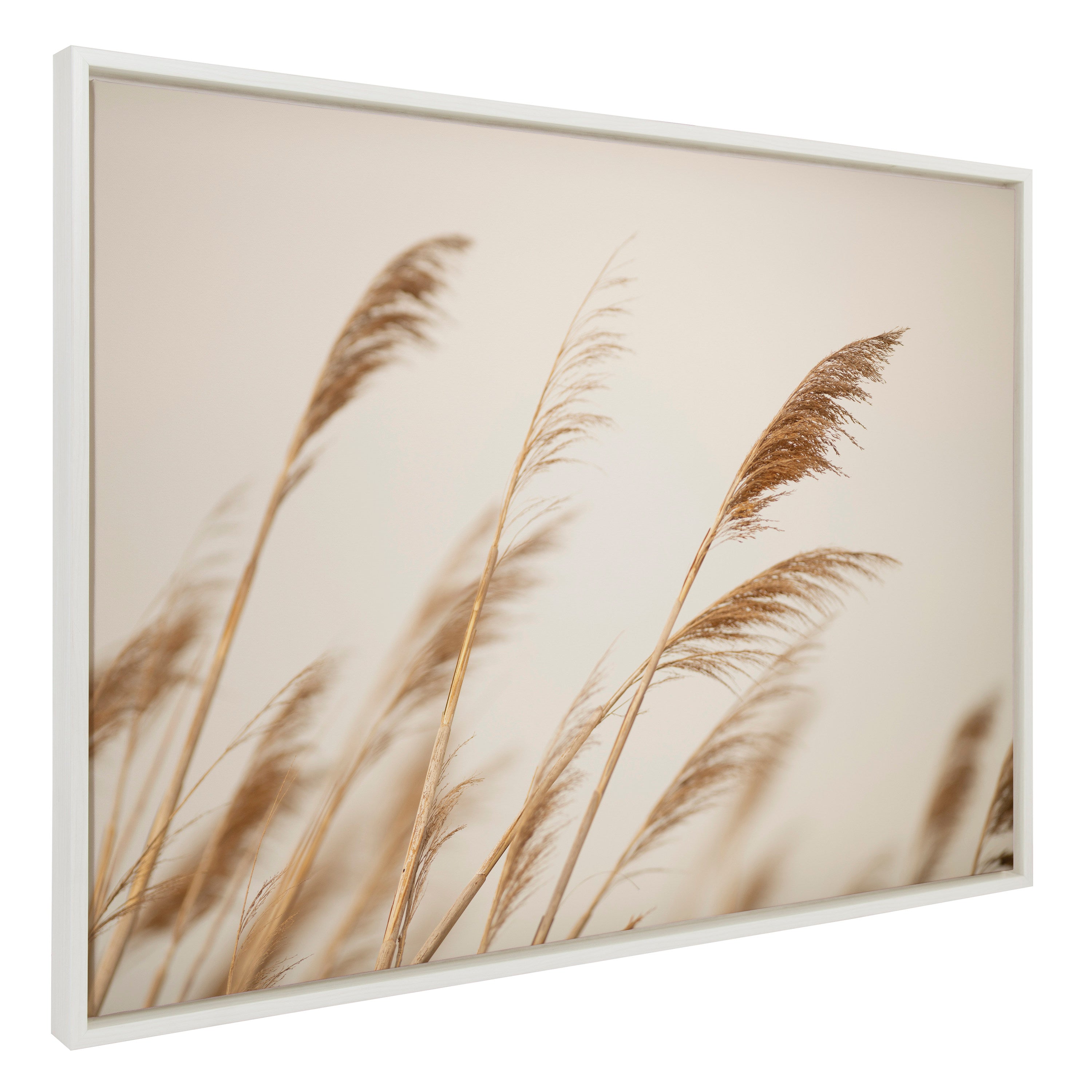 Framed canvas art titled 'Sylvie Marsh Grass No 8' depicting marsh grass, framed with white floating polystyrene frame
