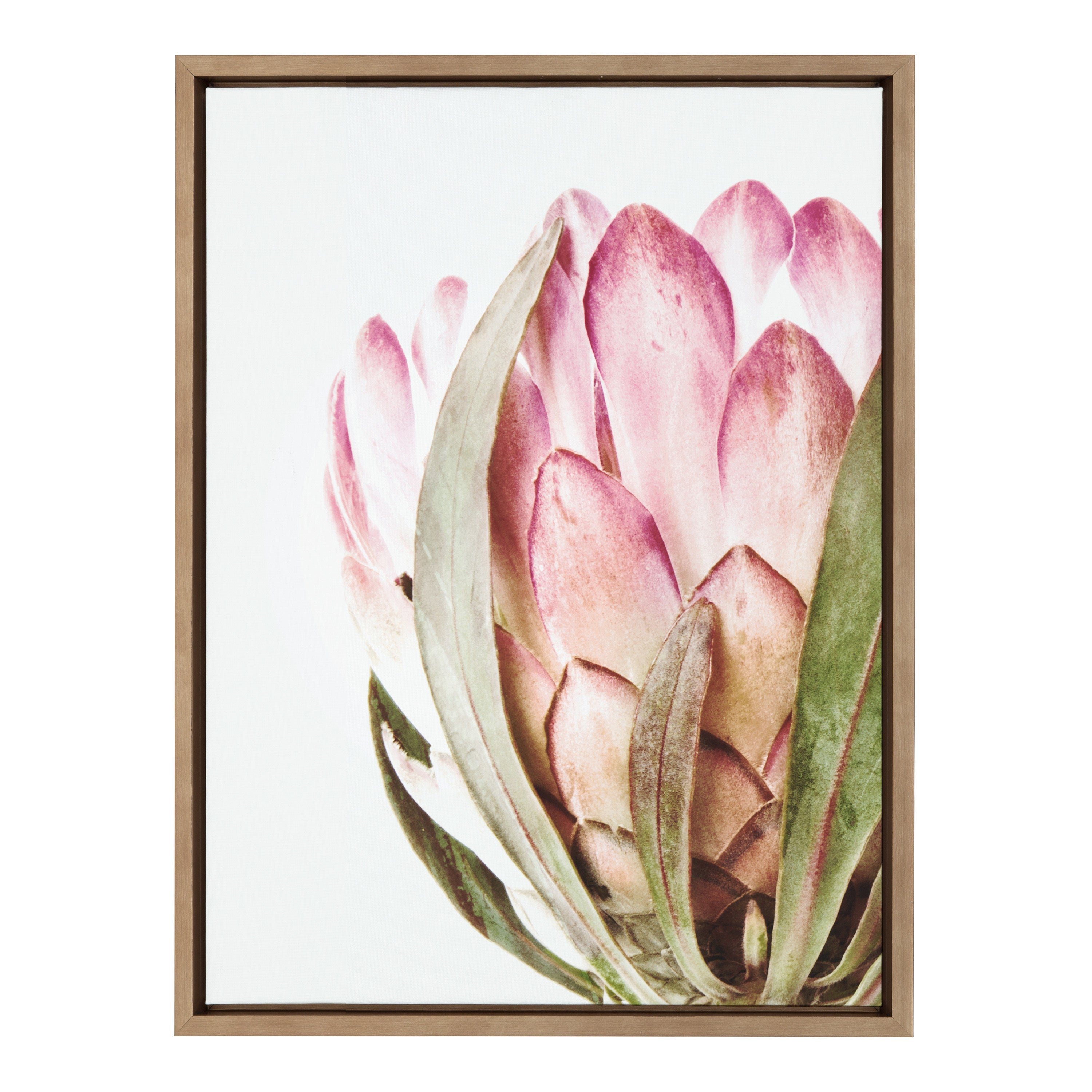 Sylvie Pink Protea Flower Framed Canvas by Amy Peterson by kateandlaurel - product image 14 for Resin Society