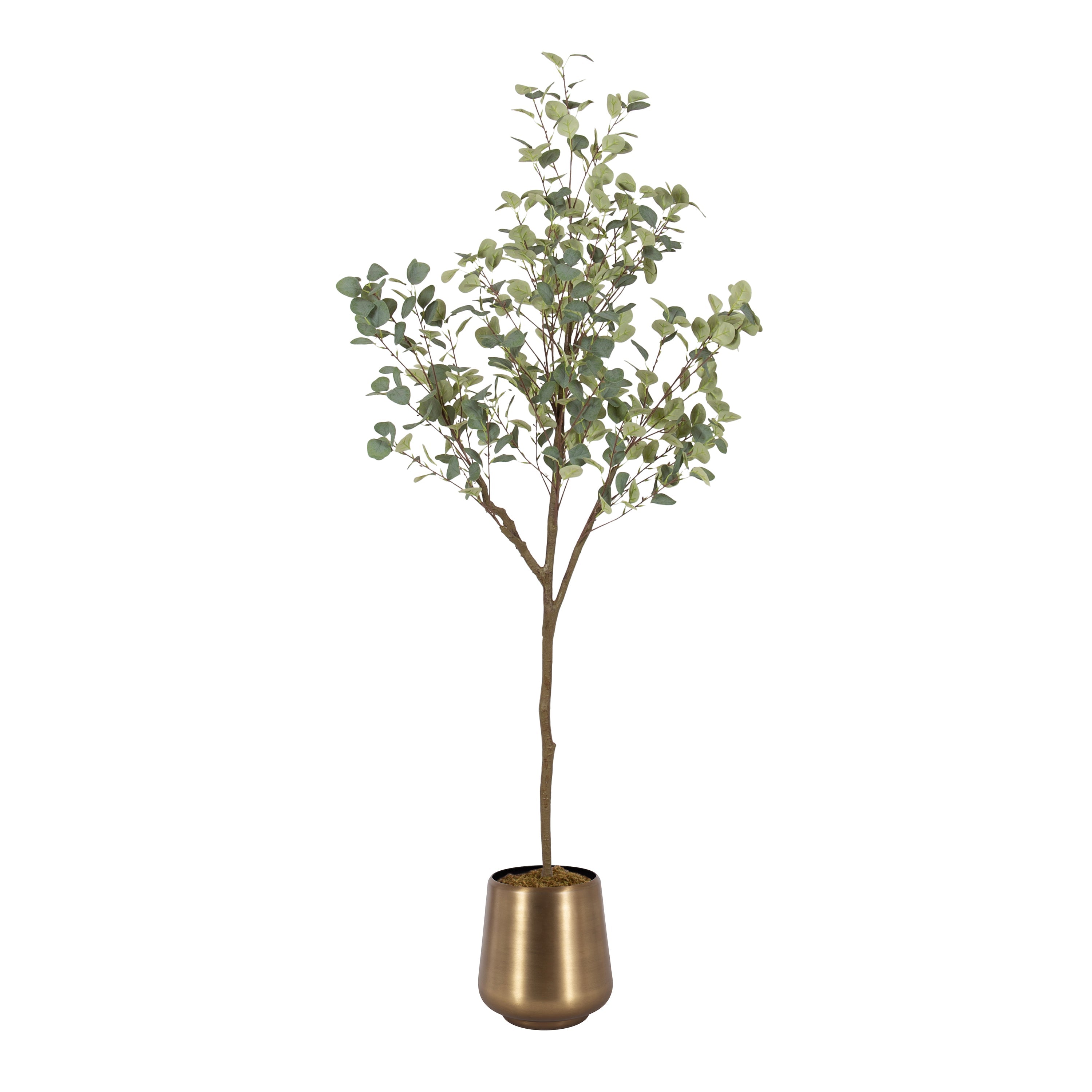 Eudora Faux Eucalyptus Tree - Kate and Laurel