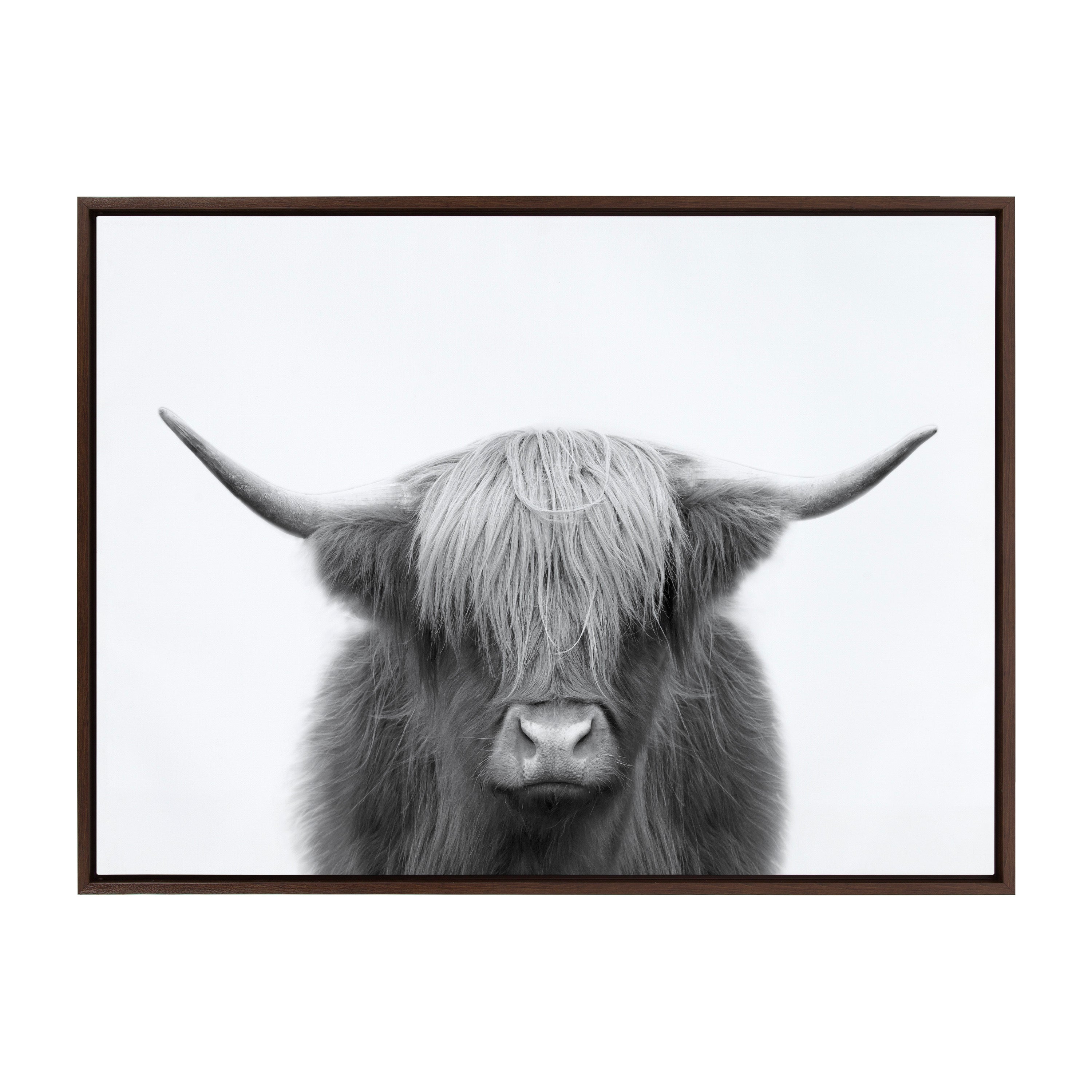 Sylvie Hey Dude Highland Cow BW Framed Canvas by The Creative Bunch Studio