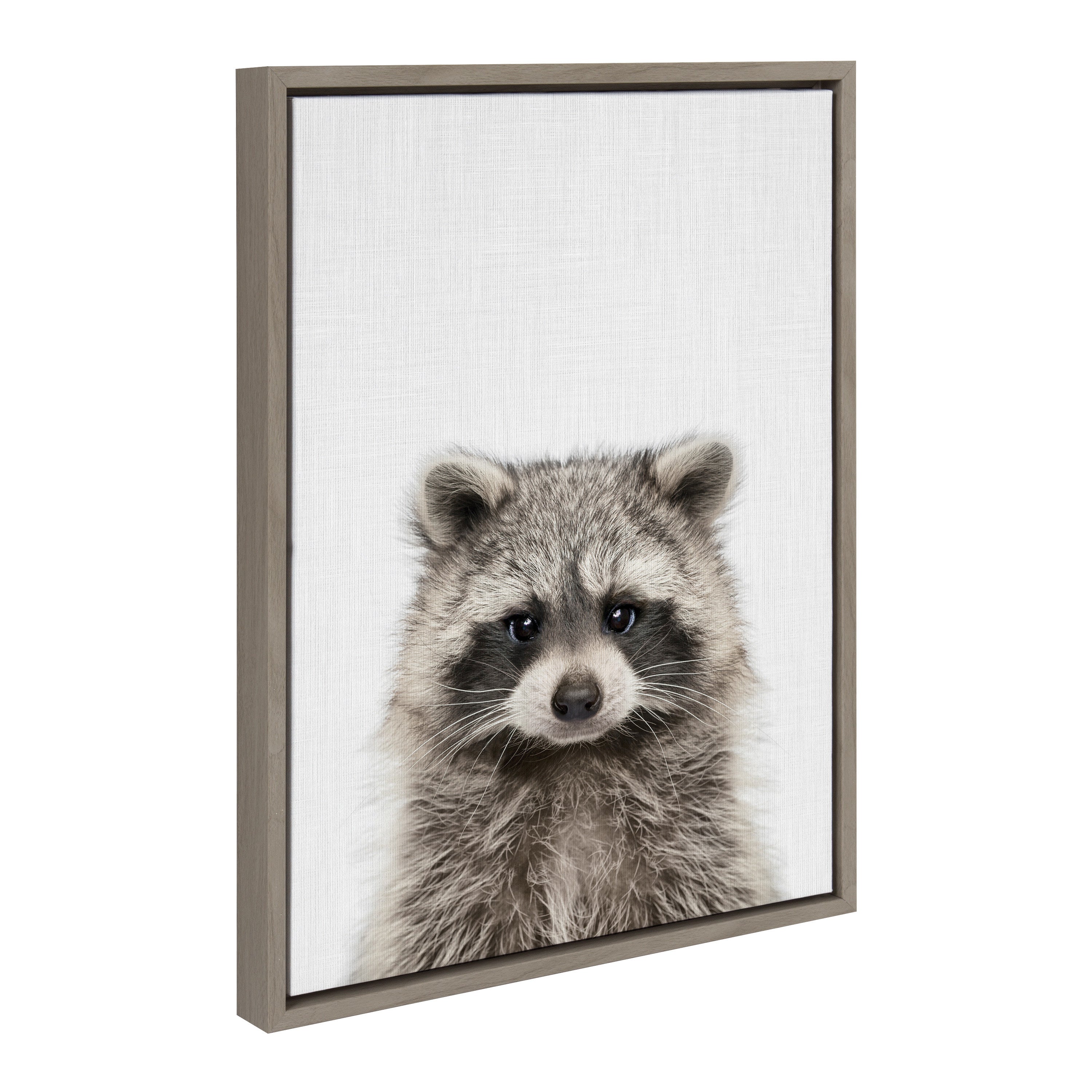 Sylvie Raccoon Color Framed Canvas by kateandlaurel - product image 7 for Resin Society